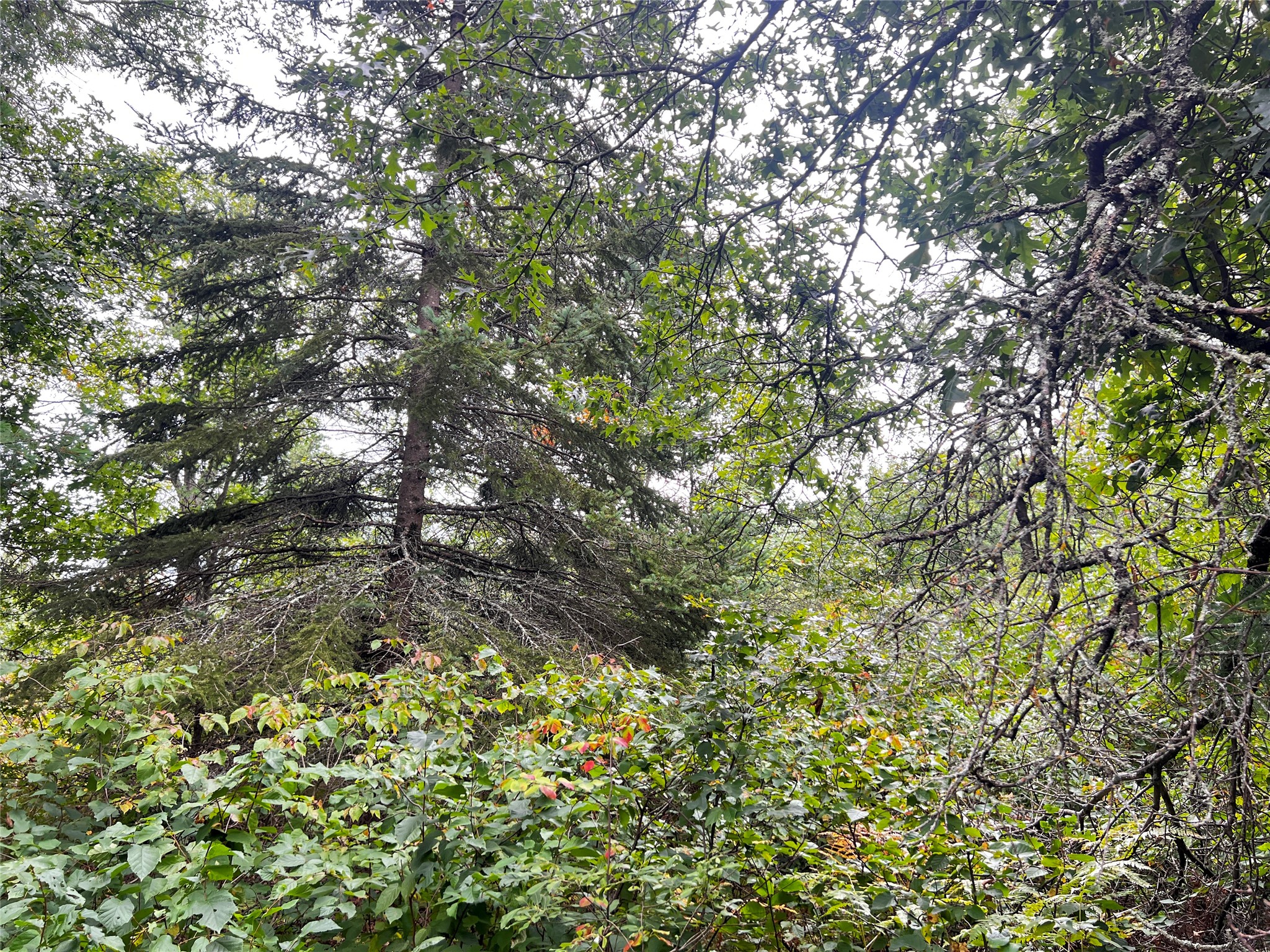 Lot 3 County Road T Property Photo 17