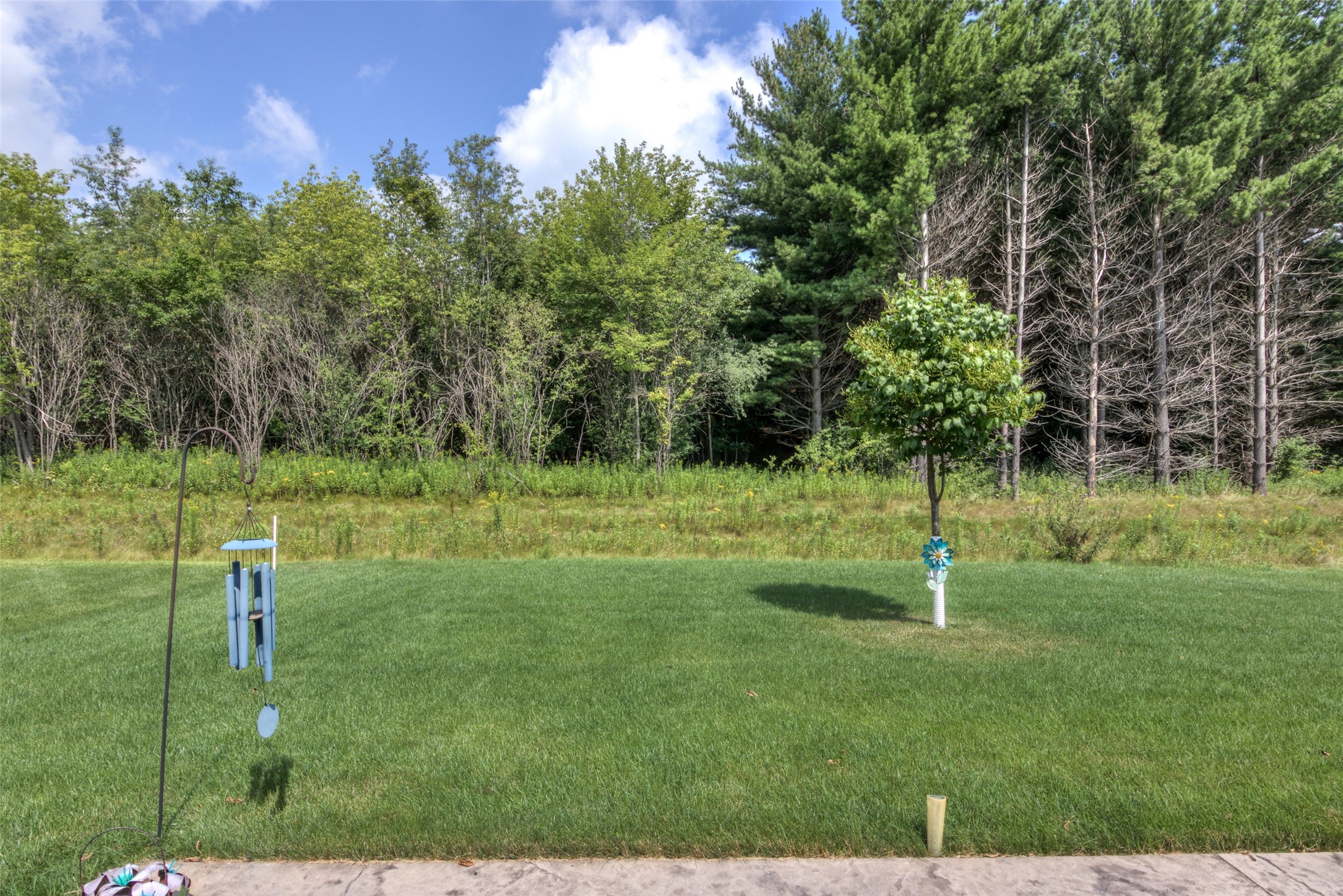 1868 Willow Creek Parkway Property Photo 27