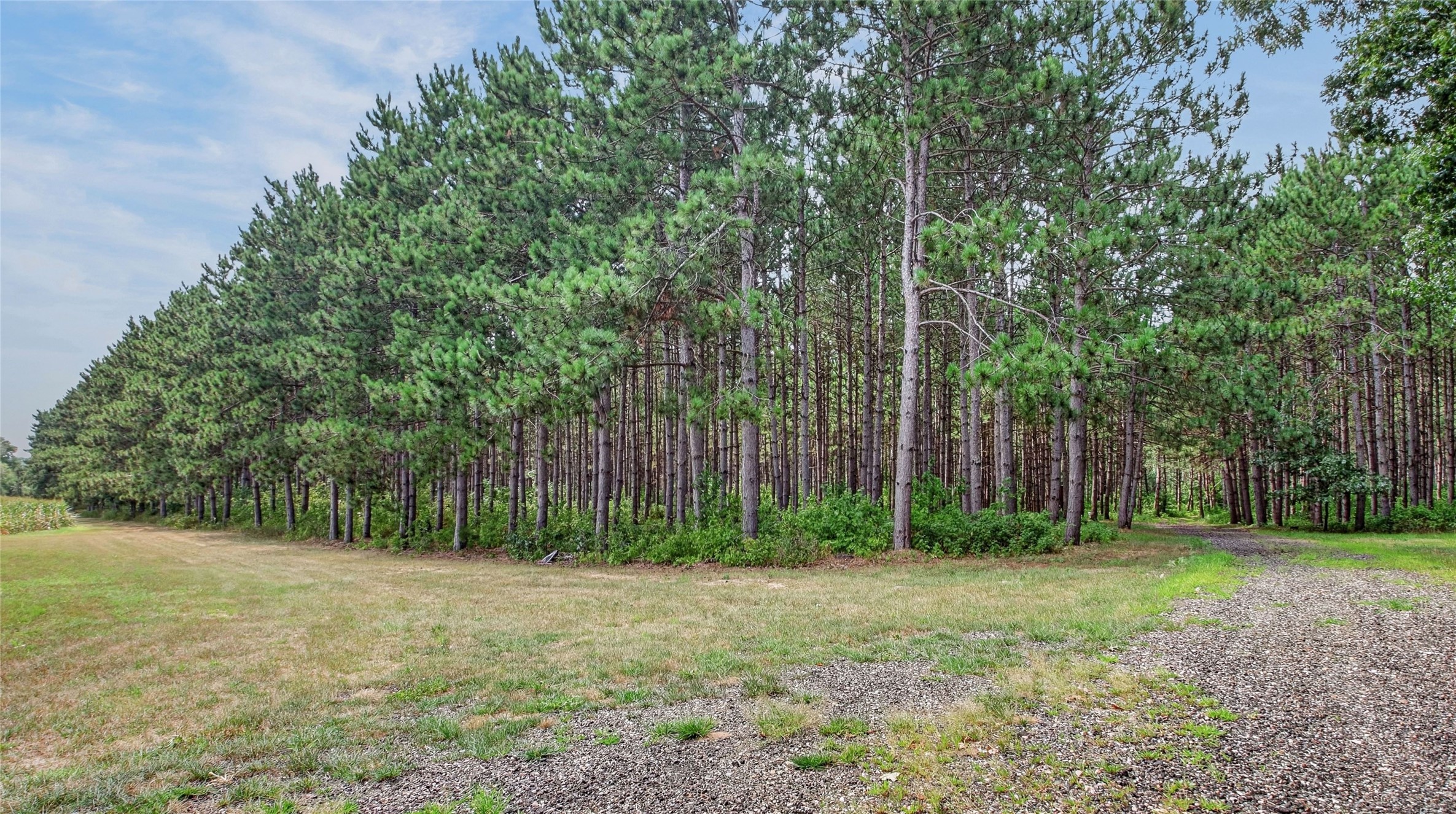 N8481 Kleba Road Property Photo 44