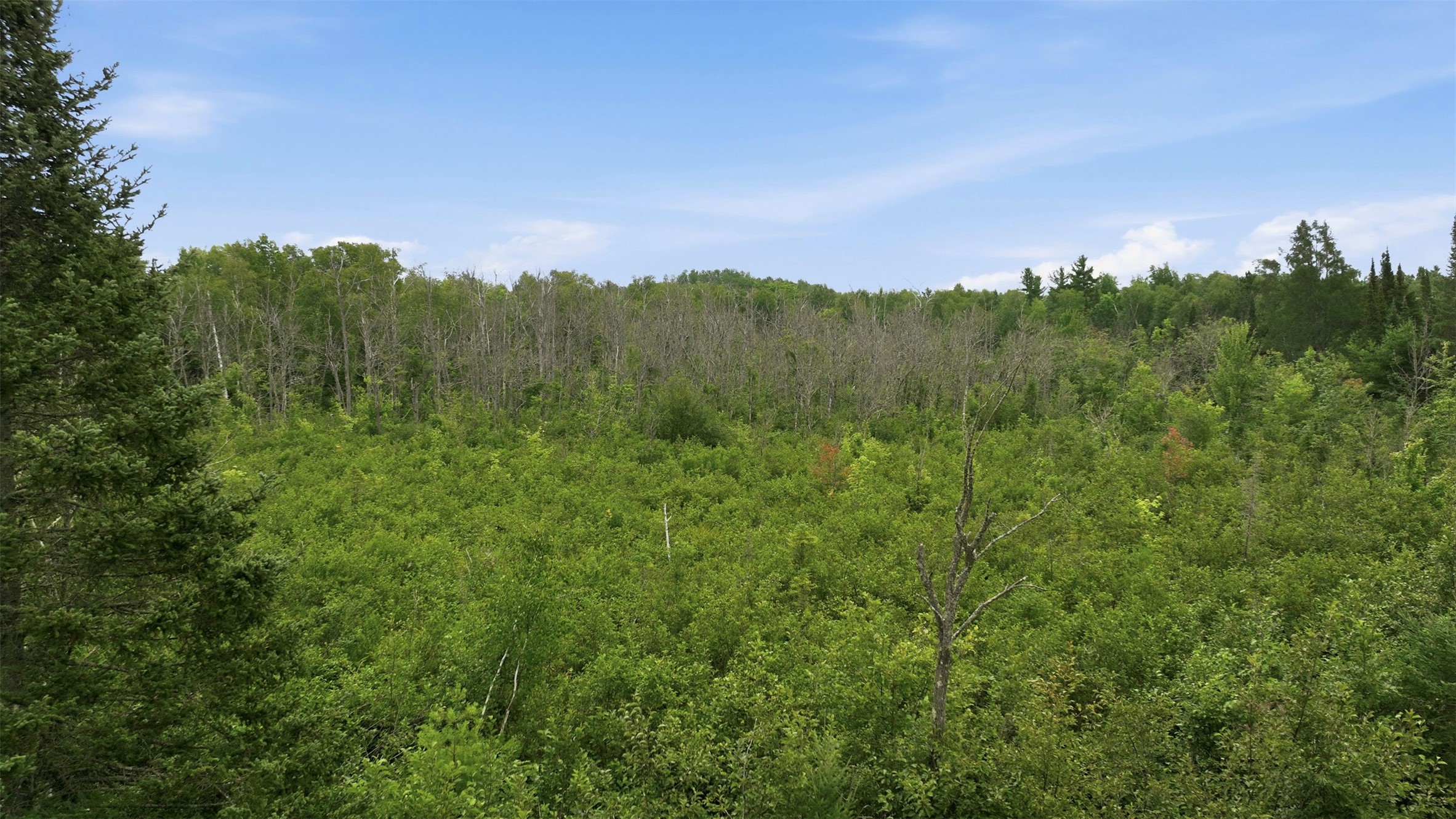 12850n O'connor Road Property Photo 42