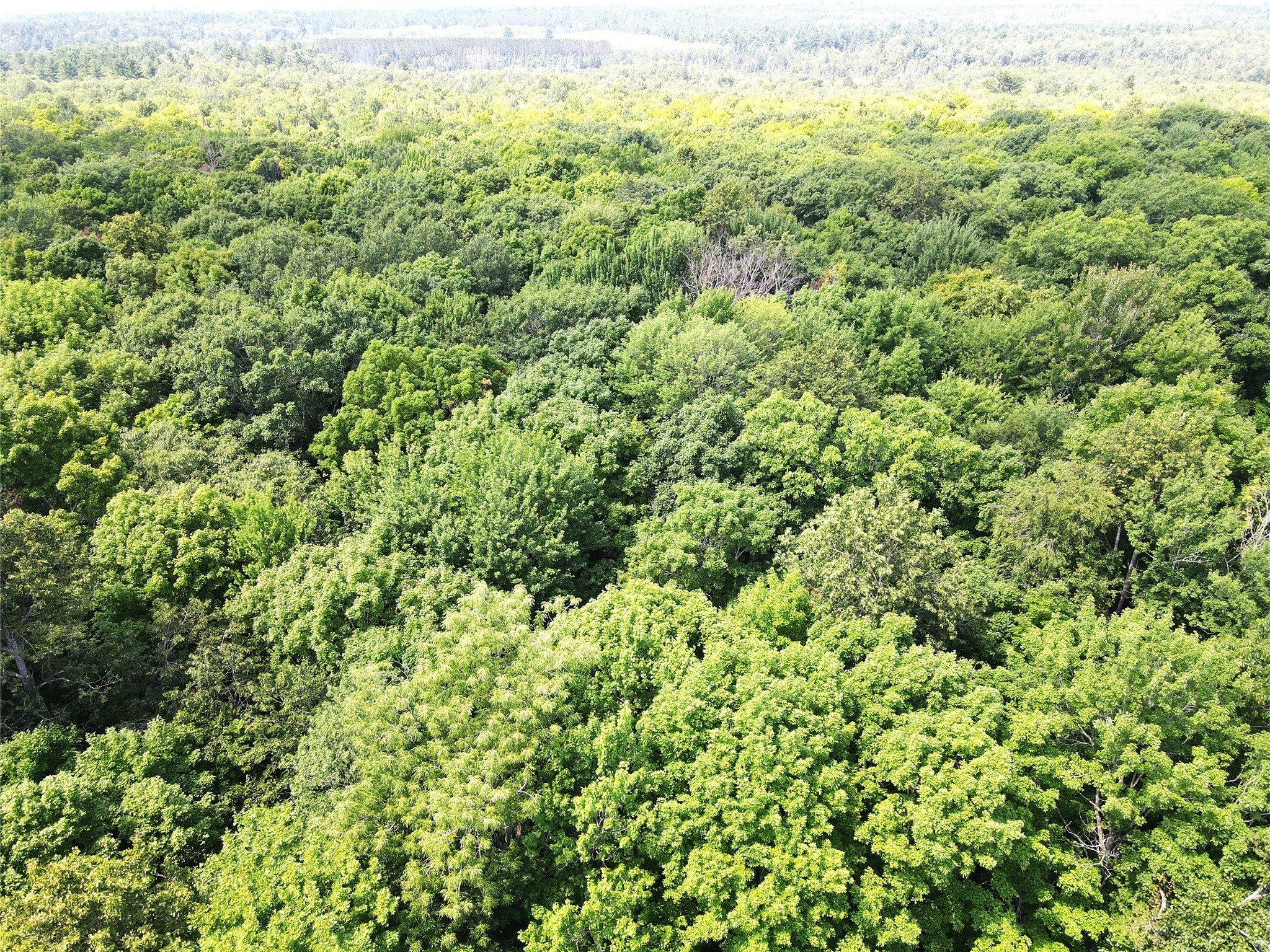 Lot 4 Smith Road Property Photo 15