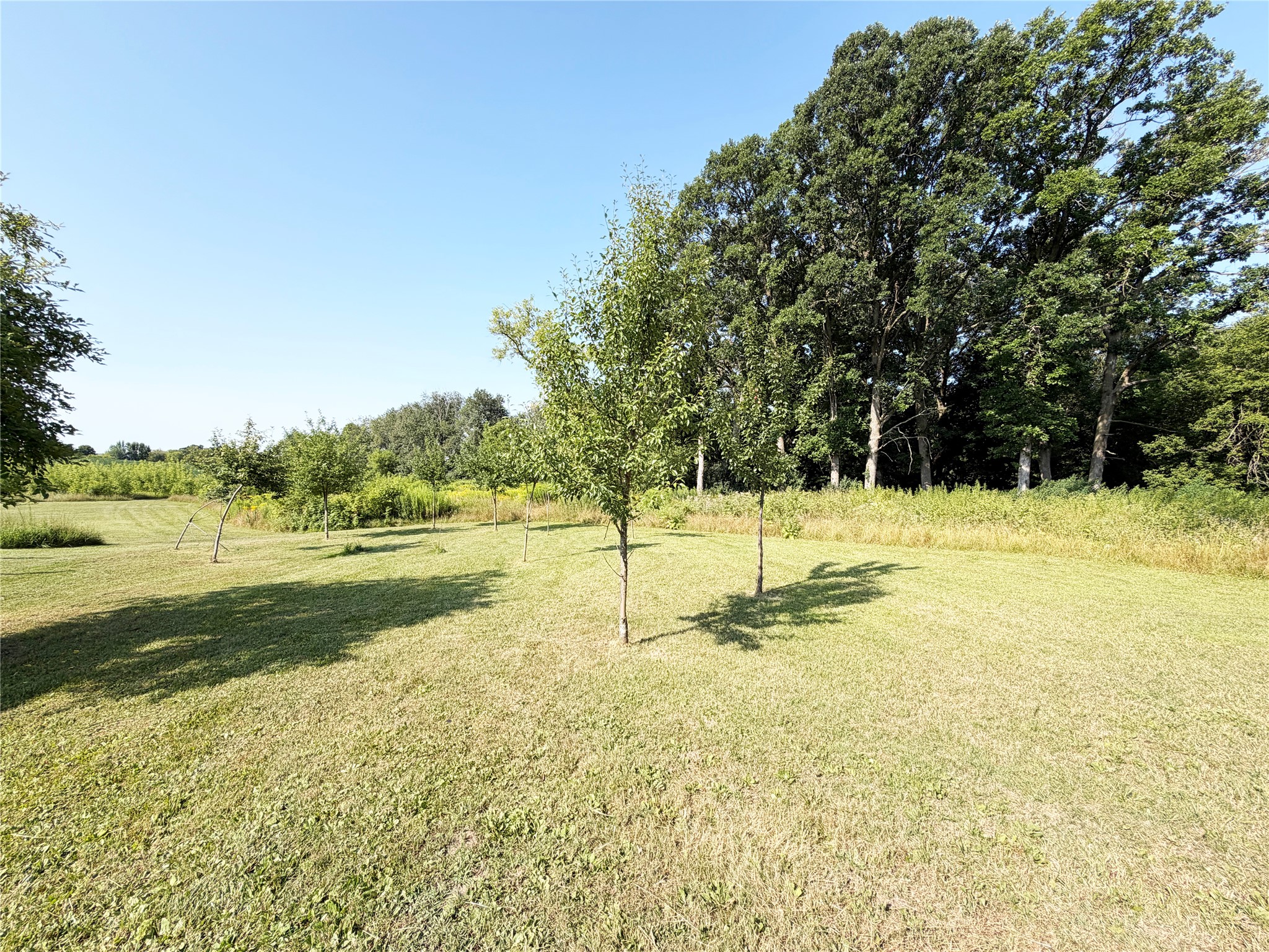 544 17th Street Property Photo 29