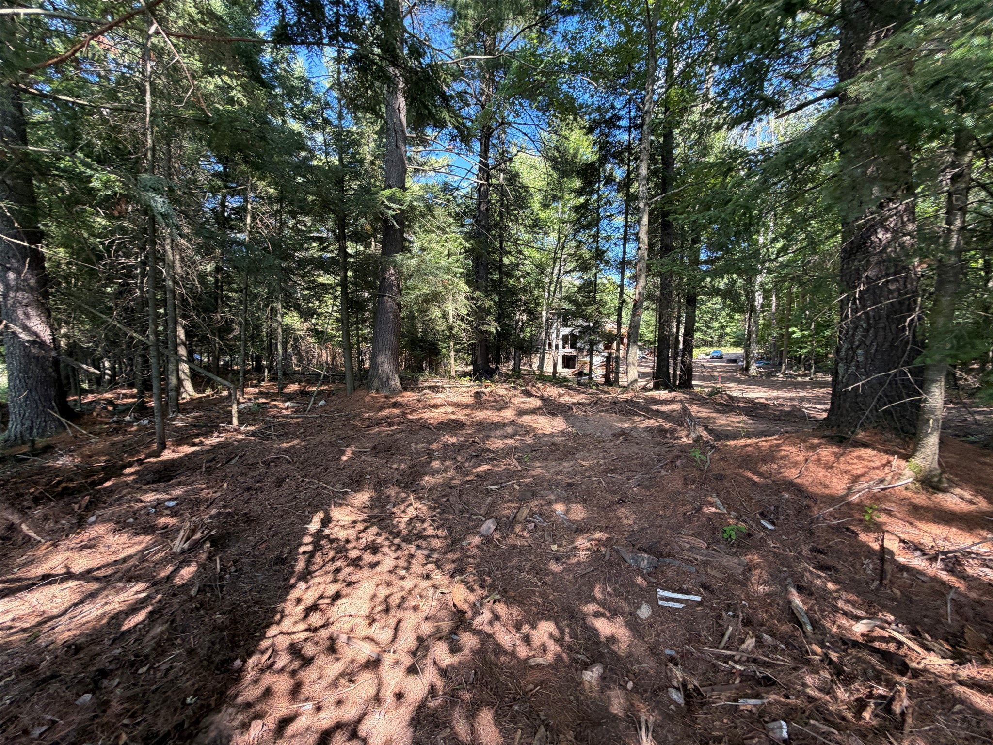 6856w Wolf Island Drive Property Photo 12