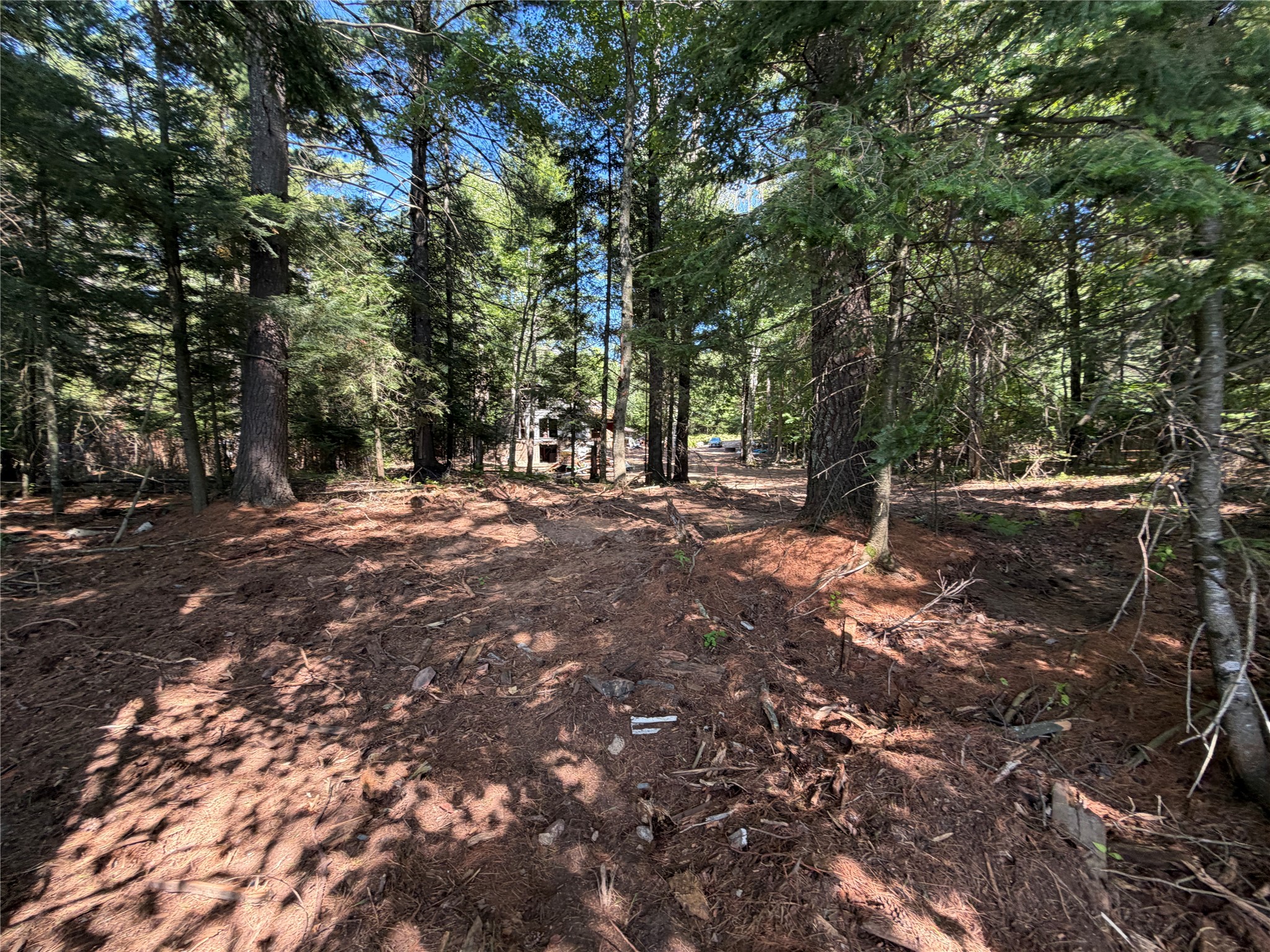 6856w Wolf Island Drive Property Photo 13