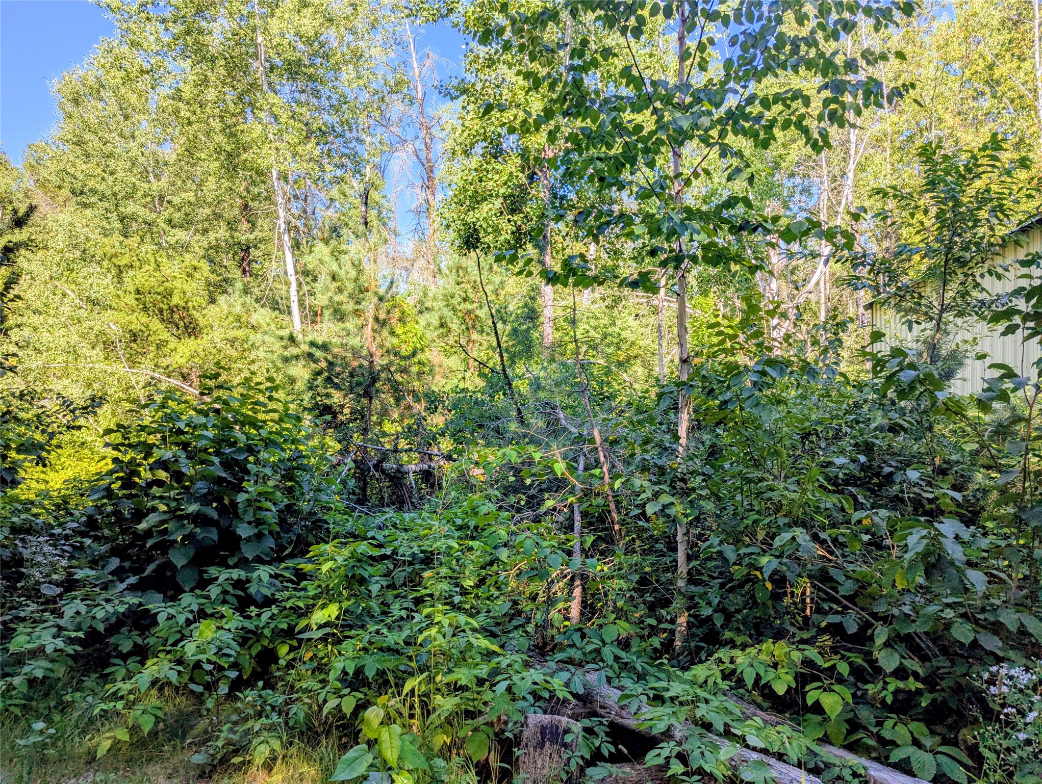 12649 N Us Highway 63 Property Photo 17