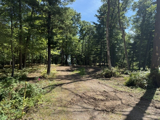 Lot 3 9 3/4 Avenue Property Photo 4