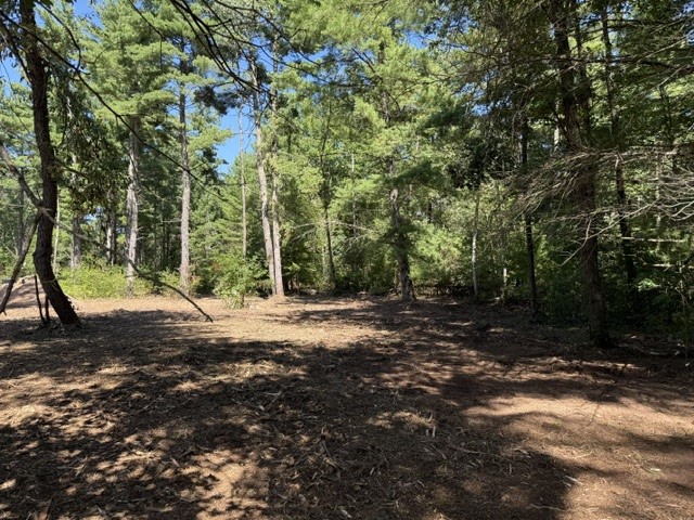 Lot 3 9 3/4 Avenue Property Photo 5
