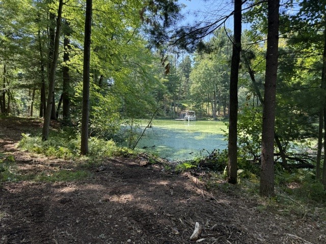 Lot 4 9 3/4 Avenue Property Photo 1