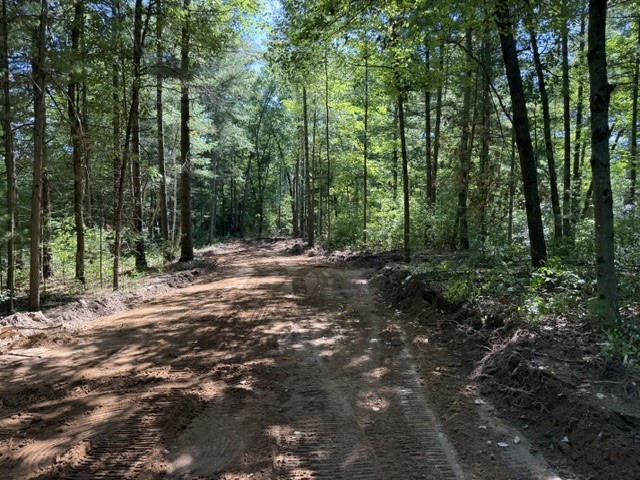 Lot 4 9 3/4 Avenue Property Photo 2