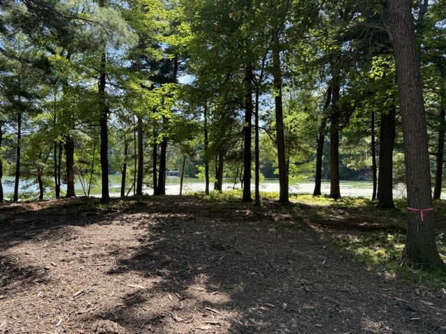 Lot 4 9 3/4 Avenue Property Photo 1