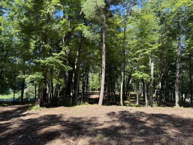Lot 4 9 3/4 Avenue Property Photo 3