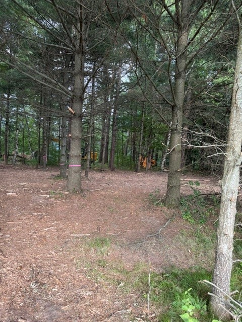 Lot 4 9 3/4 Avenue Property Photo 8