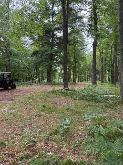Lot 4 9 3/4 Avenue Property Photo 9