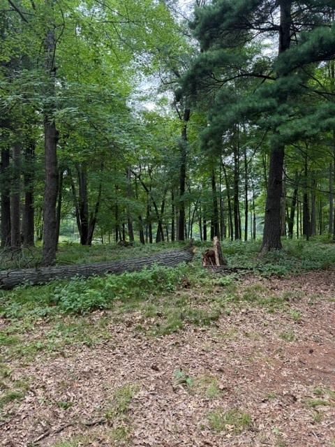 Lot 4 9 3/4 Avenue Property Photo 10