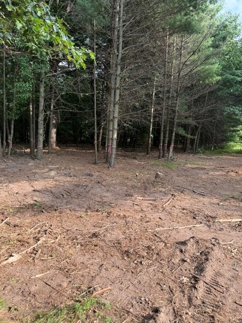 Lot 4 9 3/4 Avenue Property Photo 11