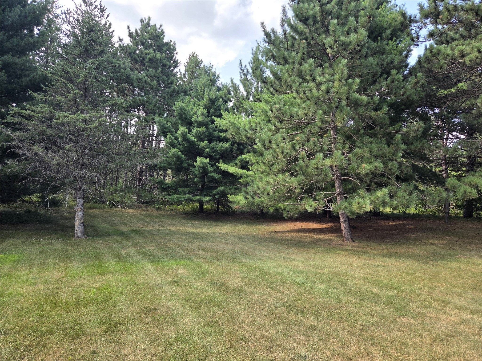 4136 Overland Road Property Photo 31
