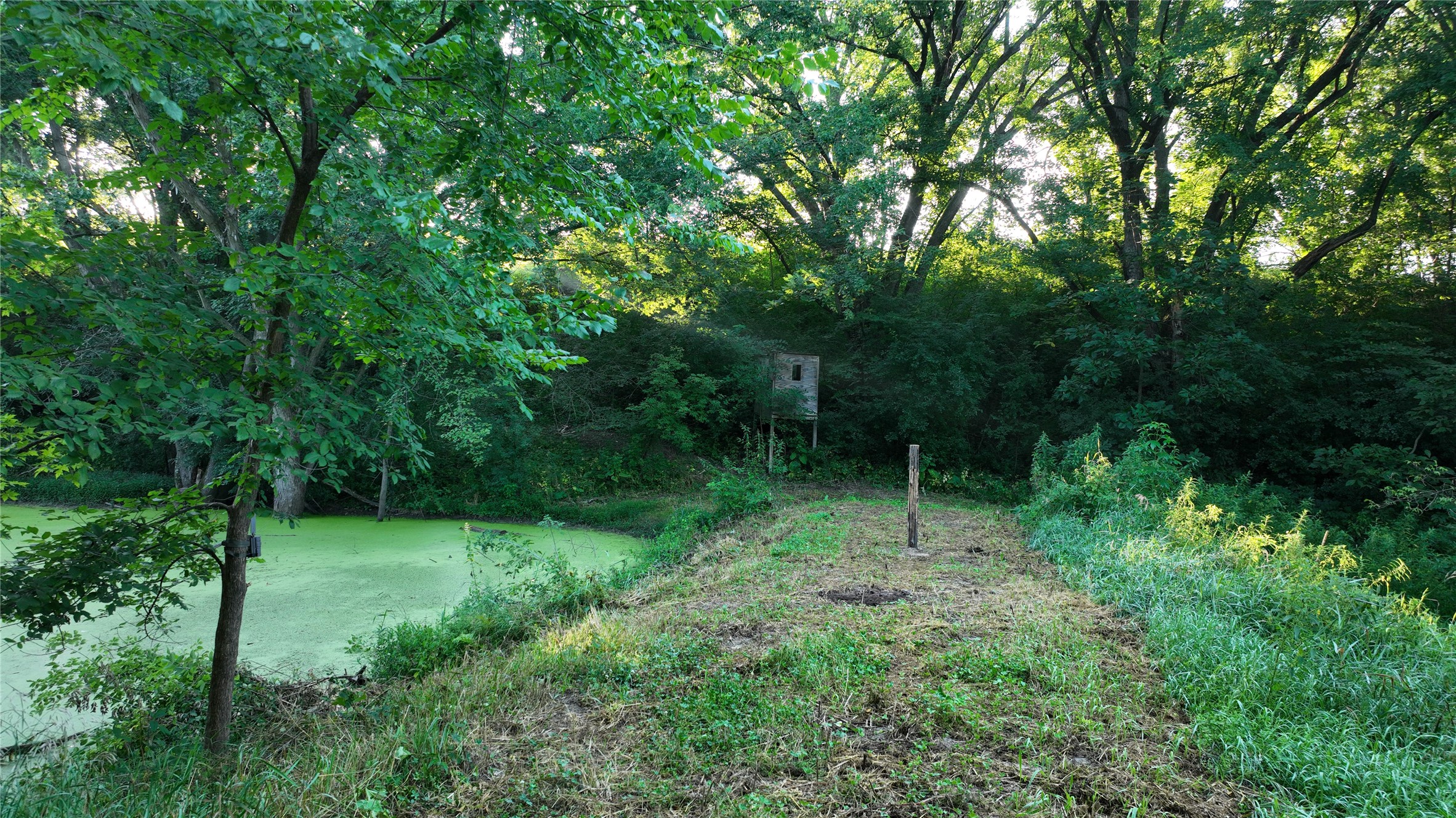 W23748 State Road 95 Property Photo 12