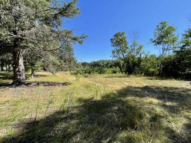 9180 E Biller Loop Property Photo 21