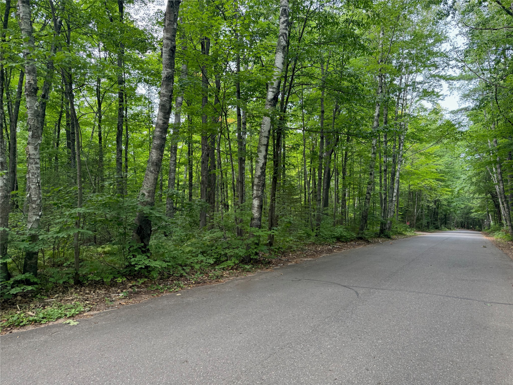 Lot 4 Scheers Road Property Photo 6