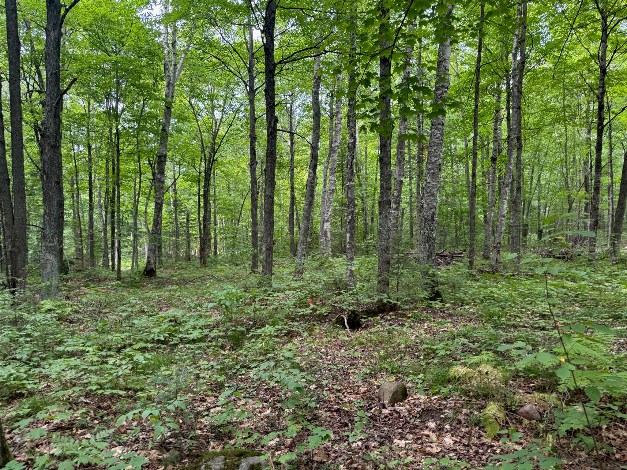 Lot 4 Scheers Road Property Photo 9