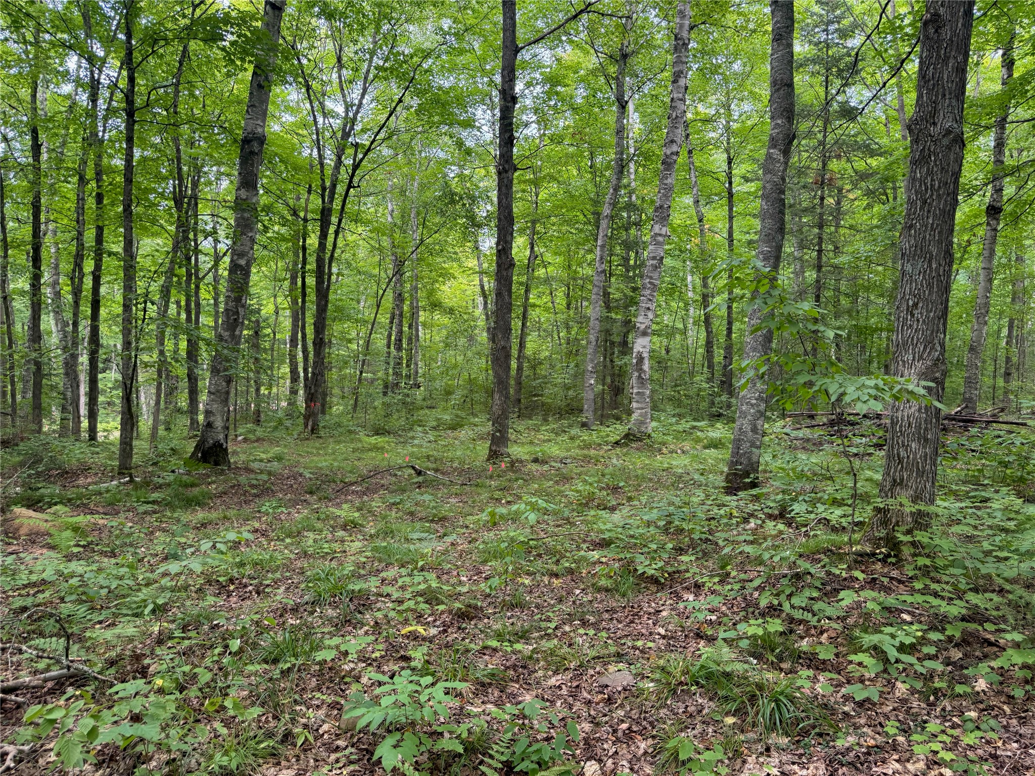 Lot 4 Scheers Road Property Photo 12