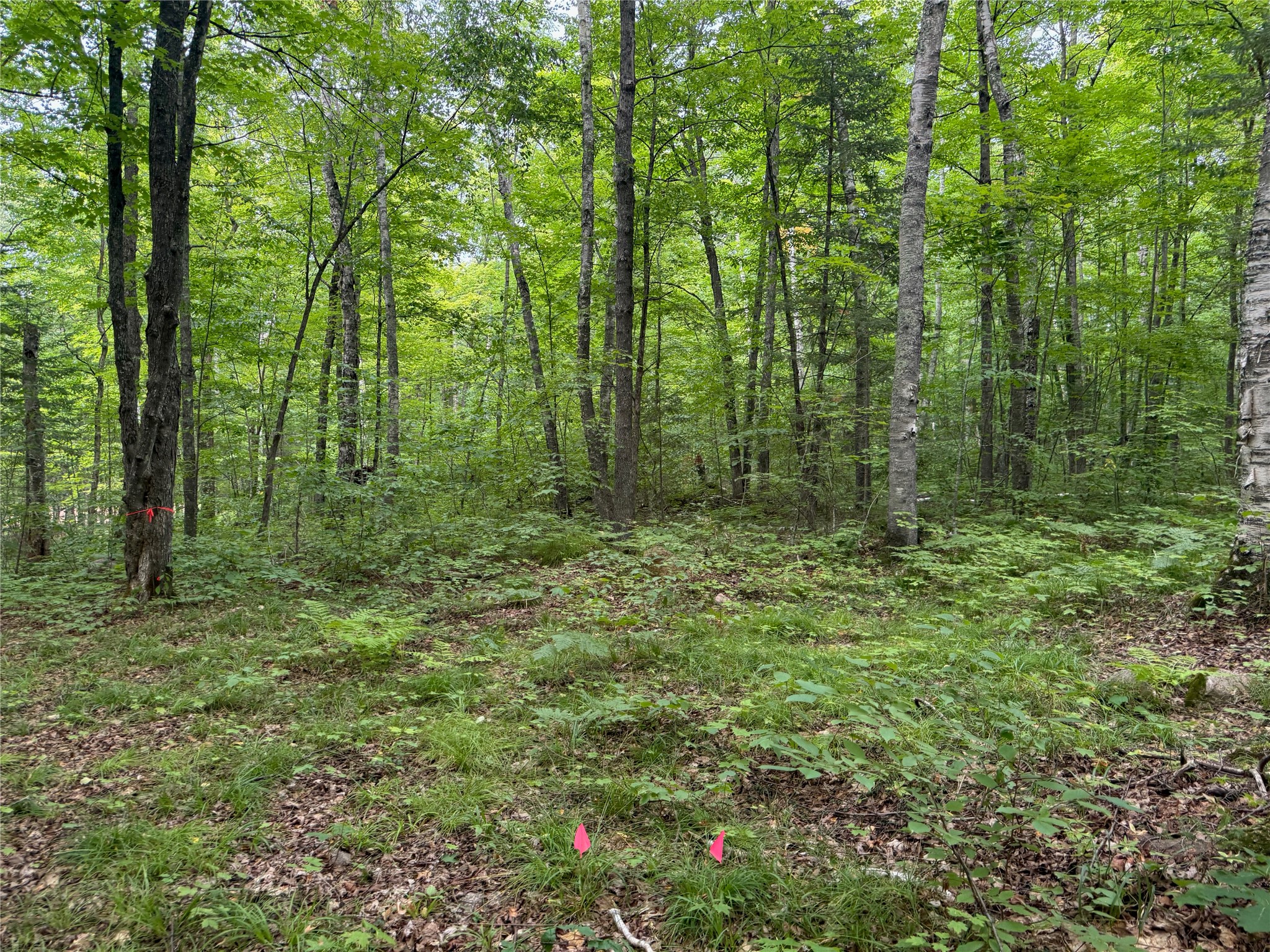 Lot 4 Scheers Road Property Photo 13