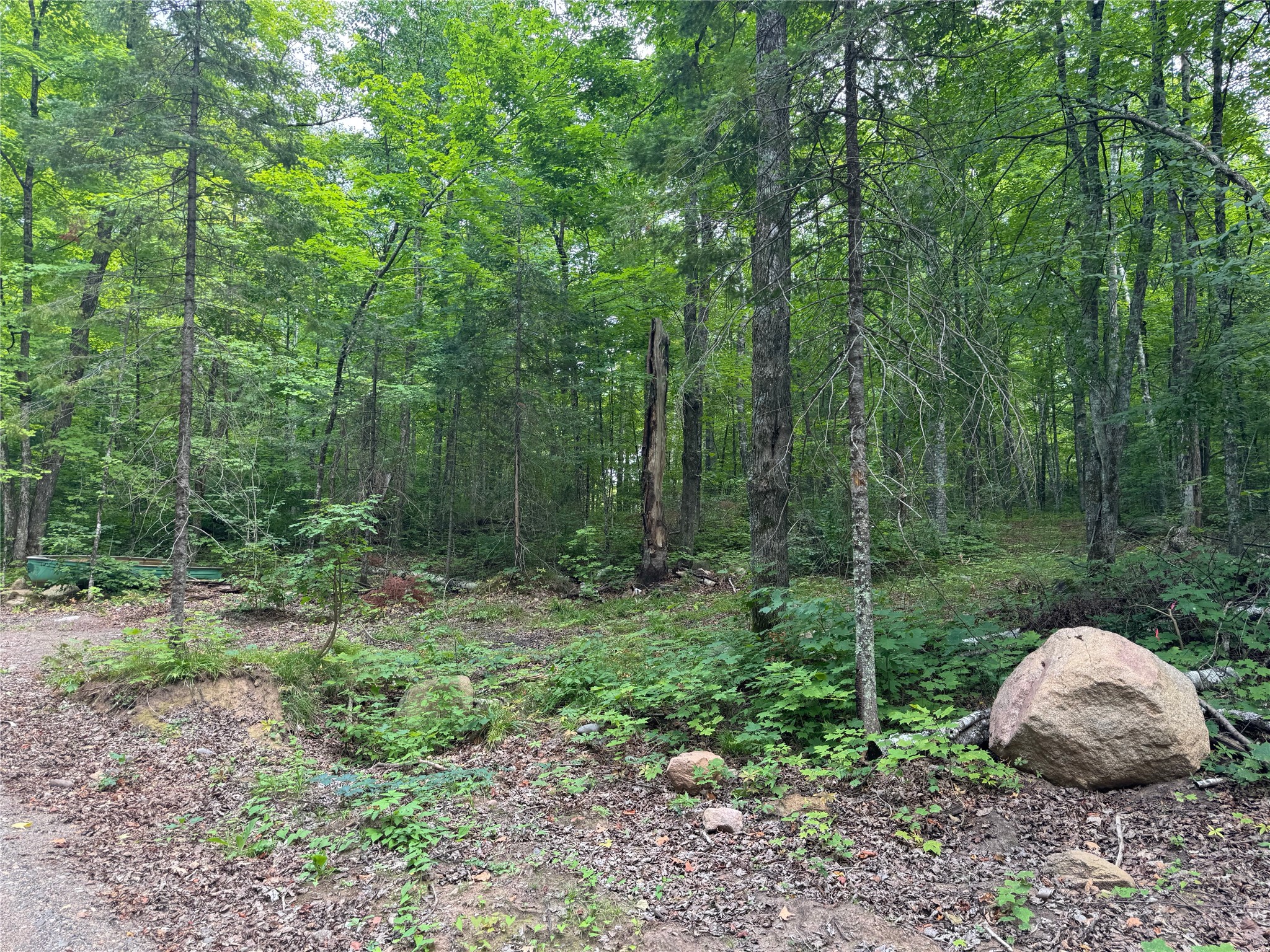 Lot 4 Scheers Road Property Photo 16