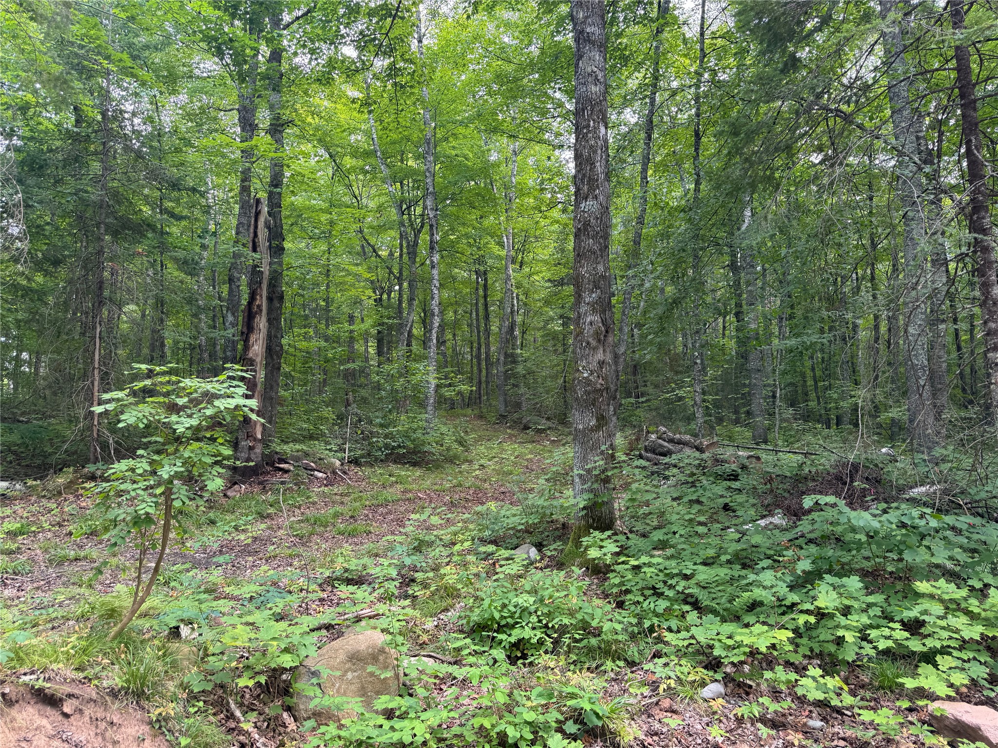 Lot 4 Scheers Road Property Photo 18