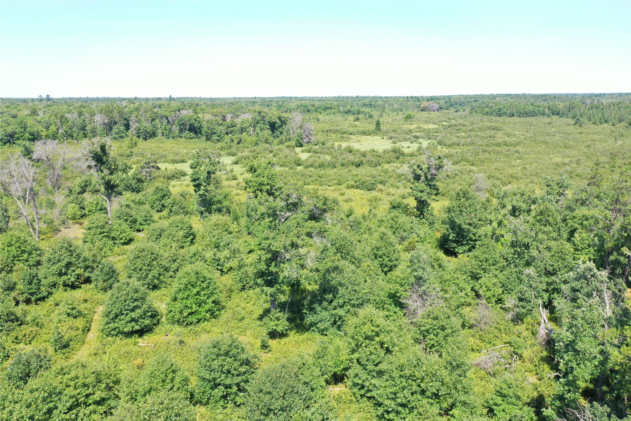 14688 Oeltjen Road Property Photo 9