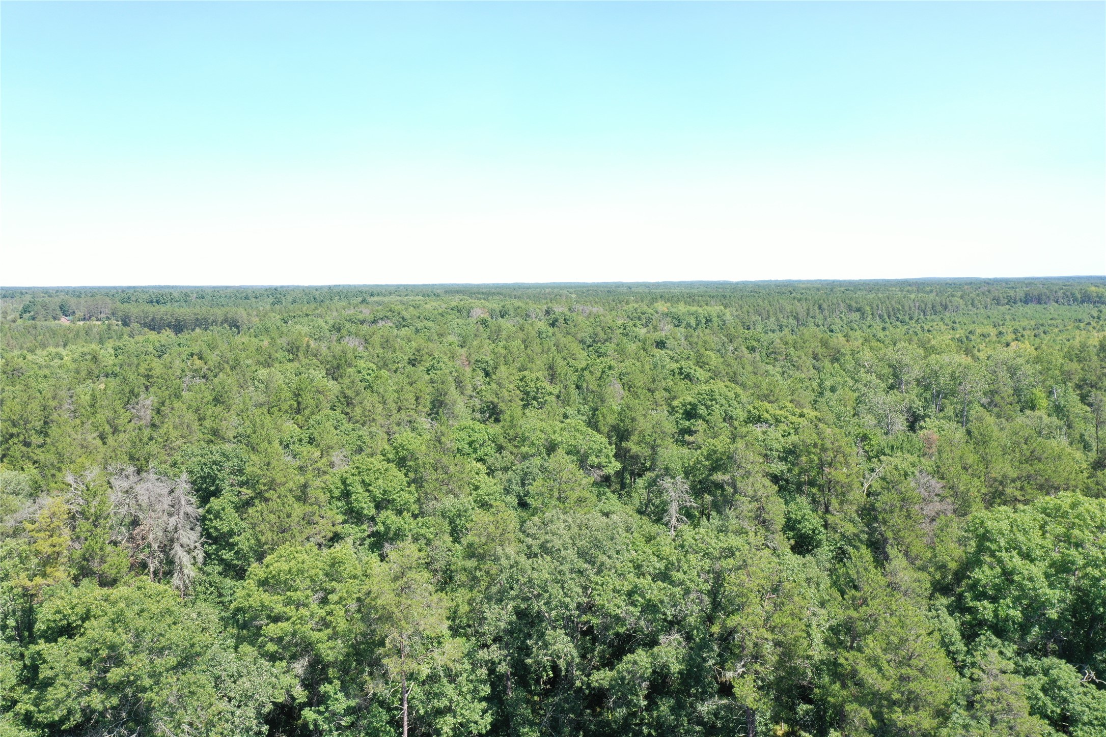 14662 Oeltjen Road Property Photo 6
