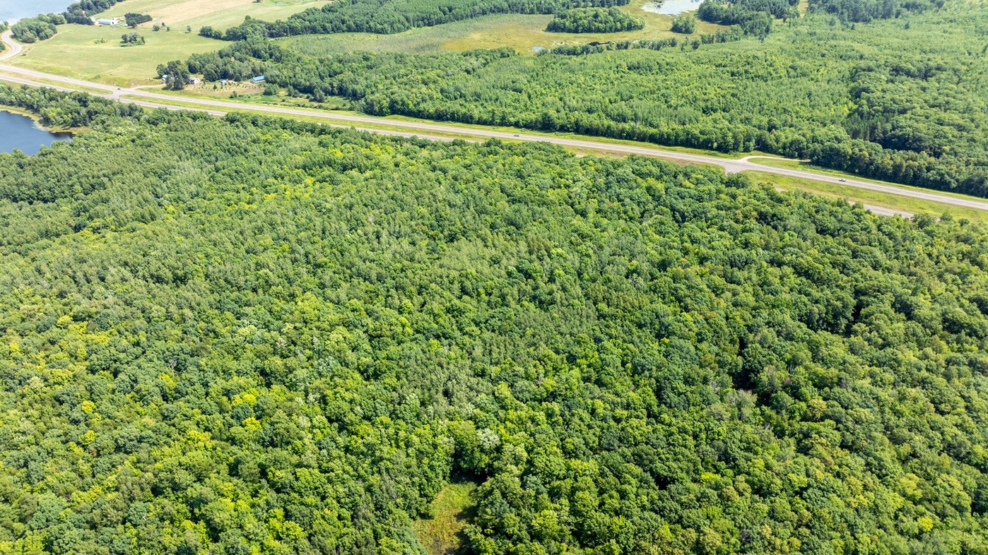 0 Us Highway 53 Property Photo 15