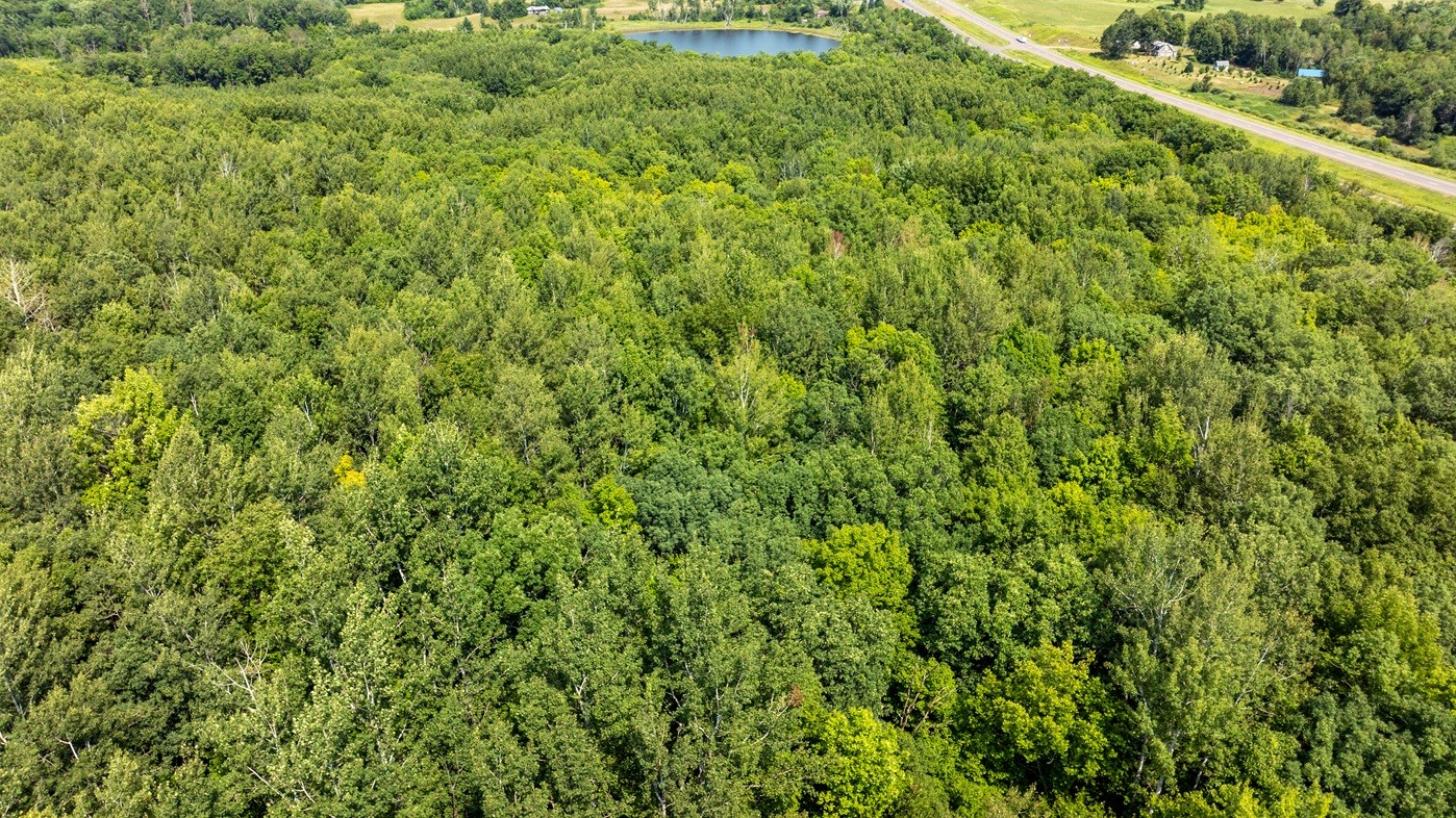 0 Us Highway 53 Property Photo 20