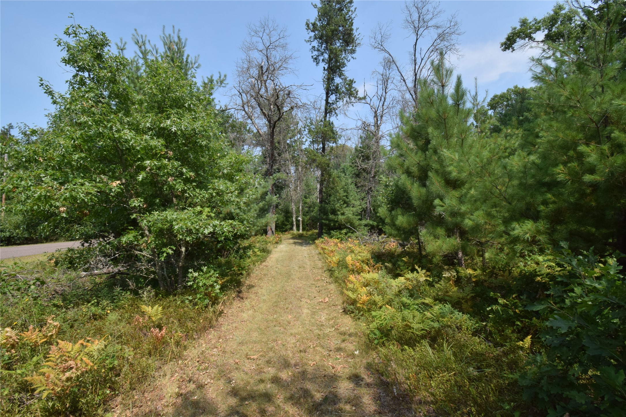 Lot 1 Pleasant Acres Trail Property Photo 8