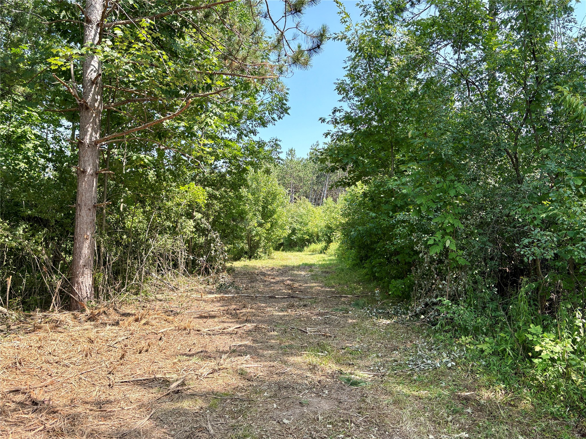 Tbd 27th Street Property Photo 23