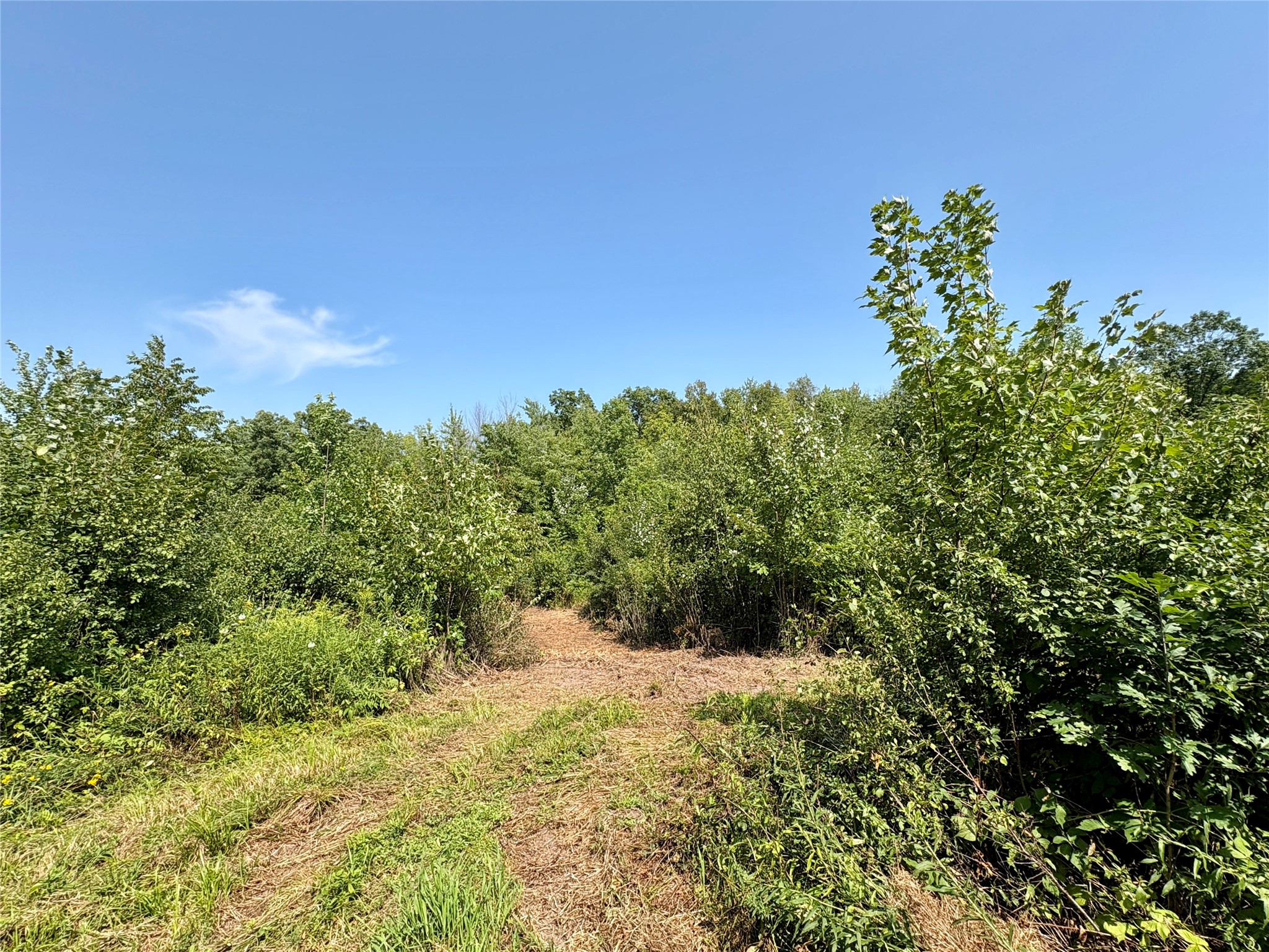 Tbd 27th Street Property Photo 25