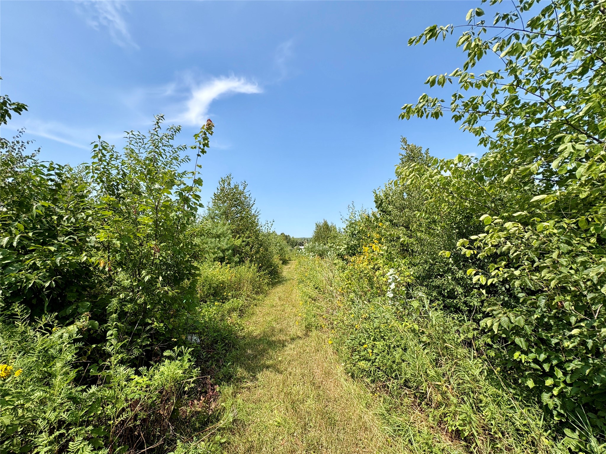 Tbd 27th Street Property Photo 33