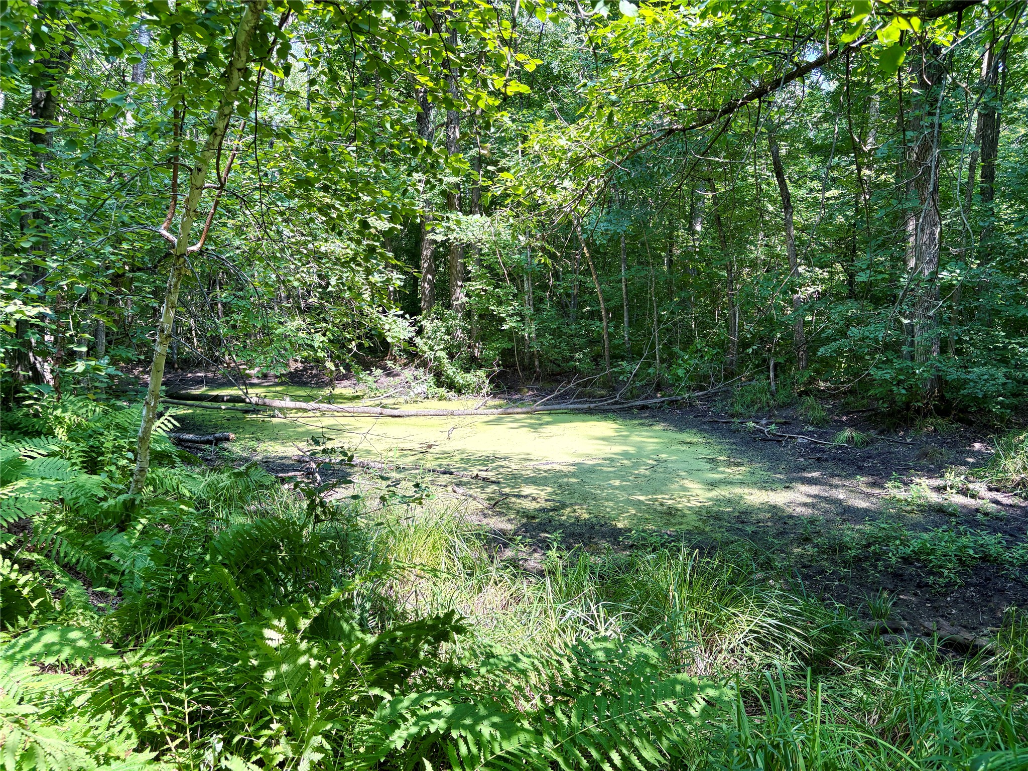 Tbd 27th Street Property Photo 49