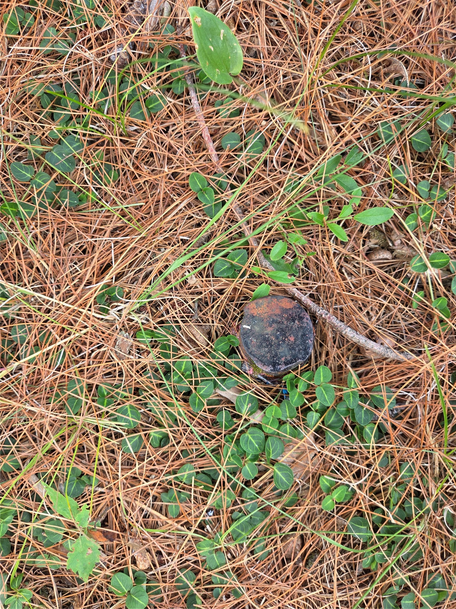 W8433 Doe Lane Property Photo 9