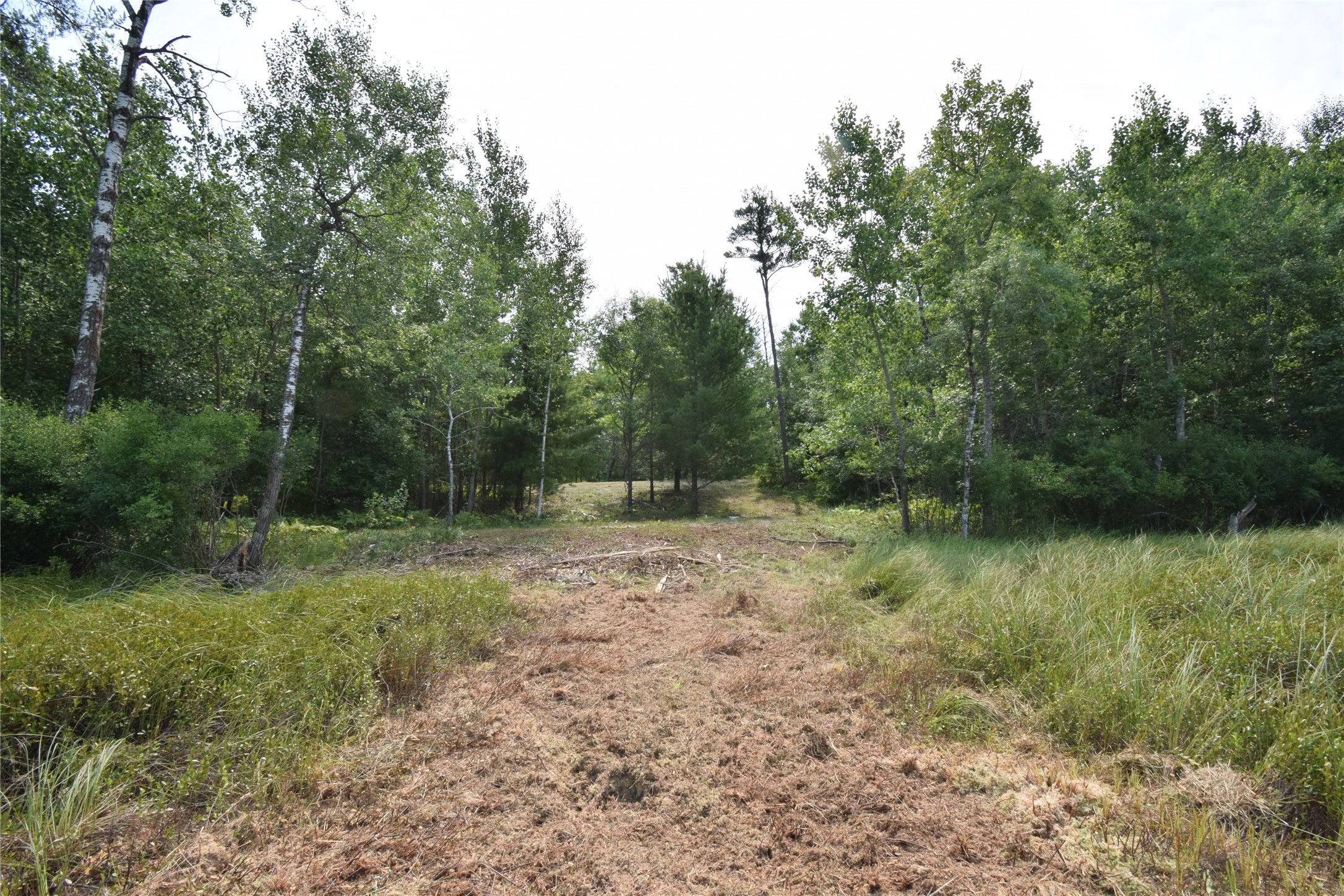 Lot 4 South Point Trail Property Photo 4