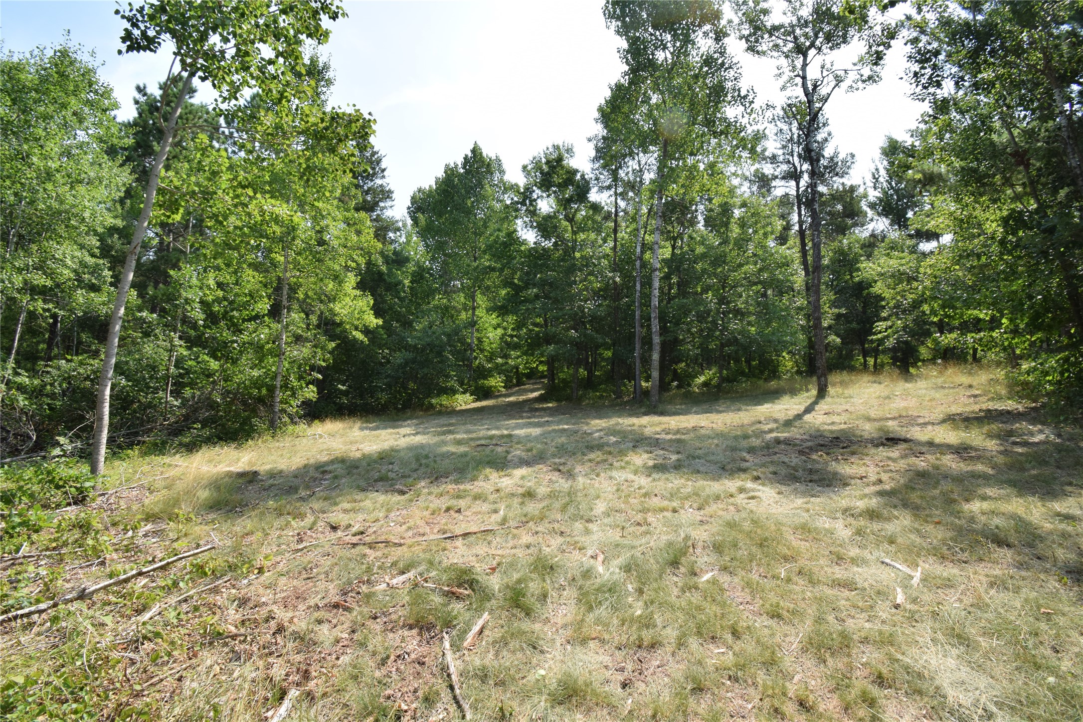 Lot 4 South Point Trail Property Photo 5
