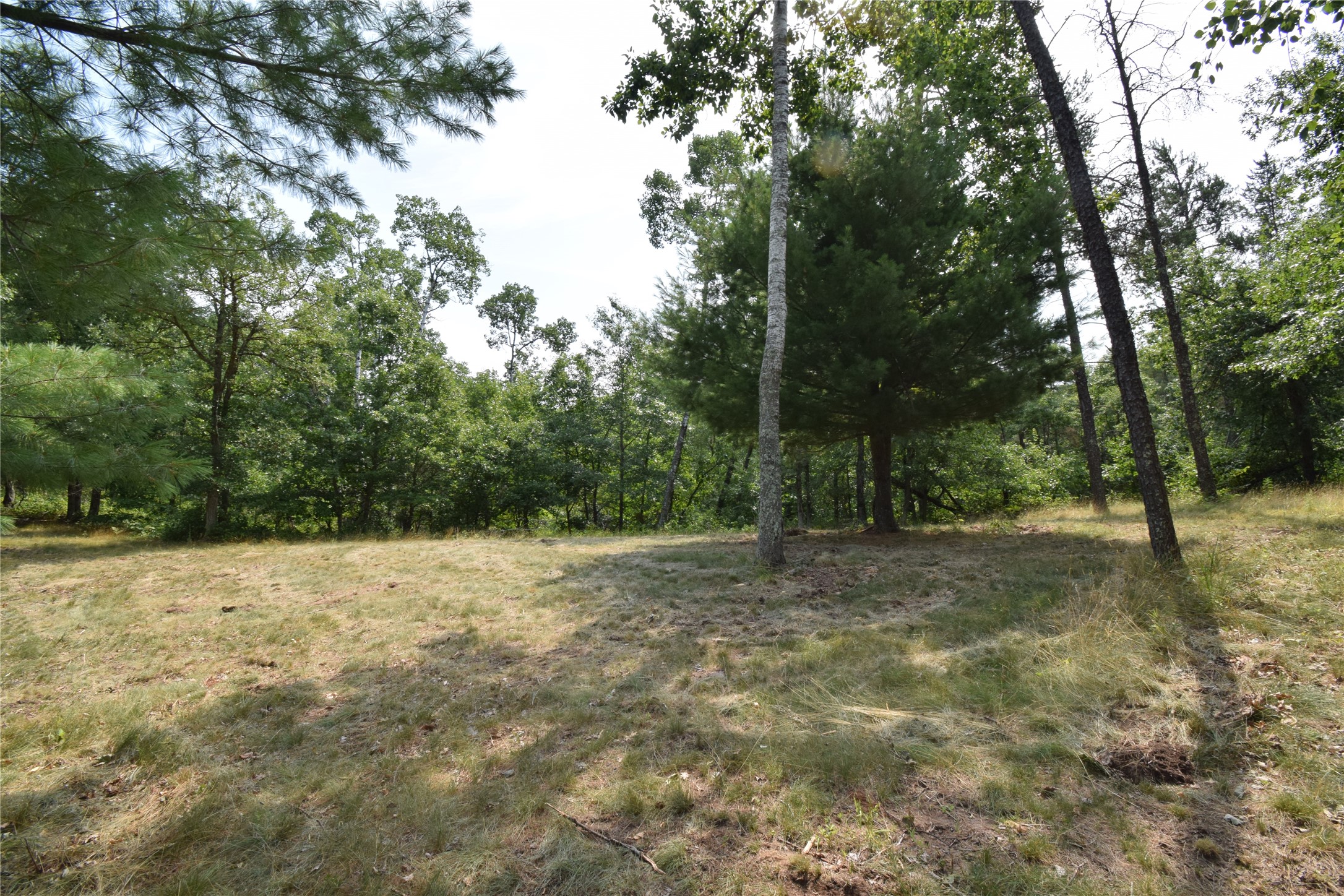 Lot 4 South Point Trail Property Photo 6