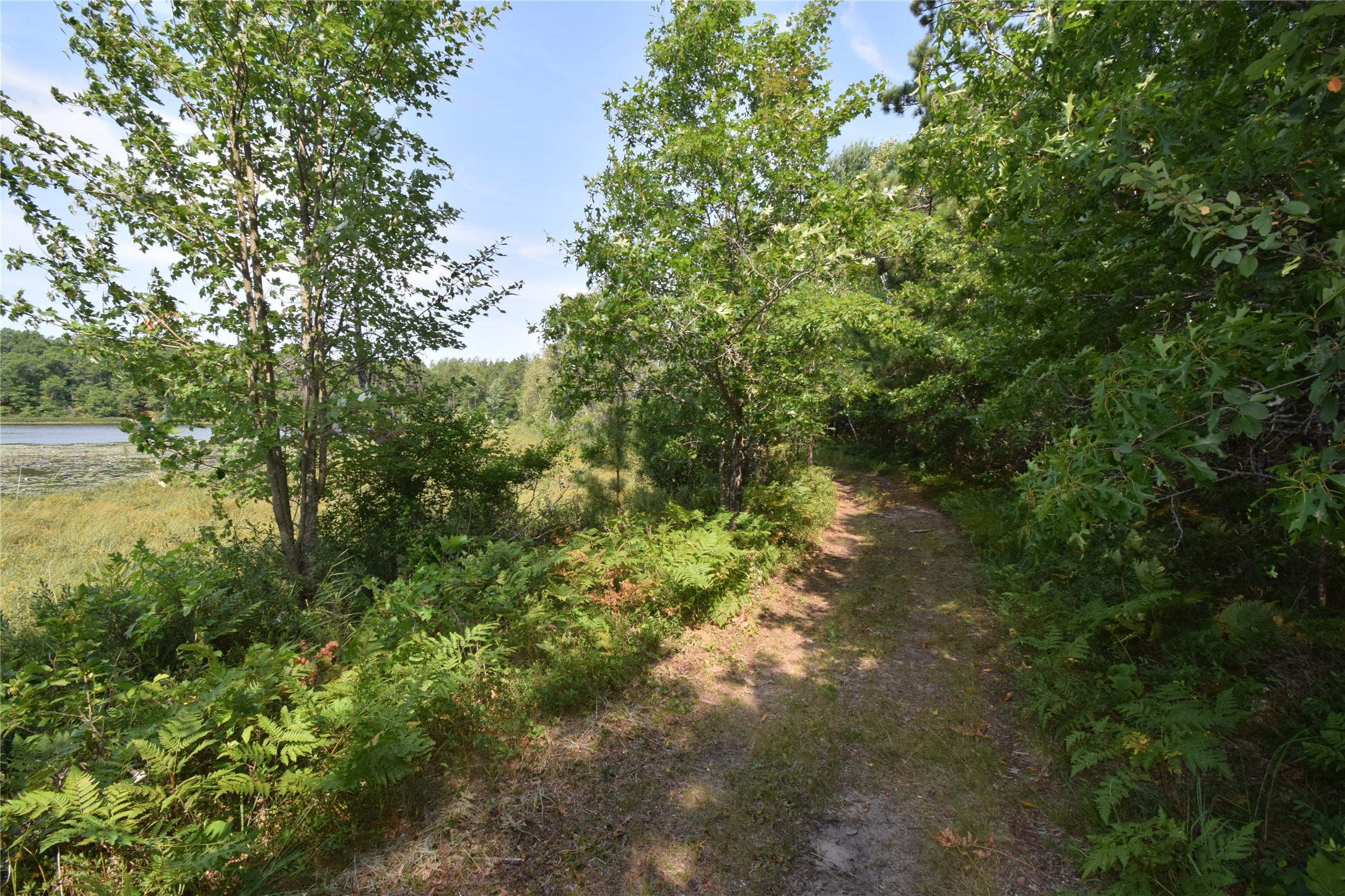 Lot 4 South Point Trail Property Photo 8