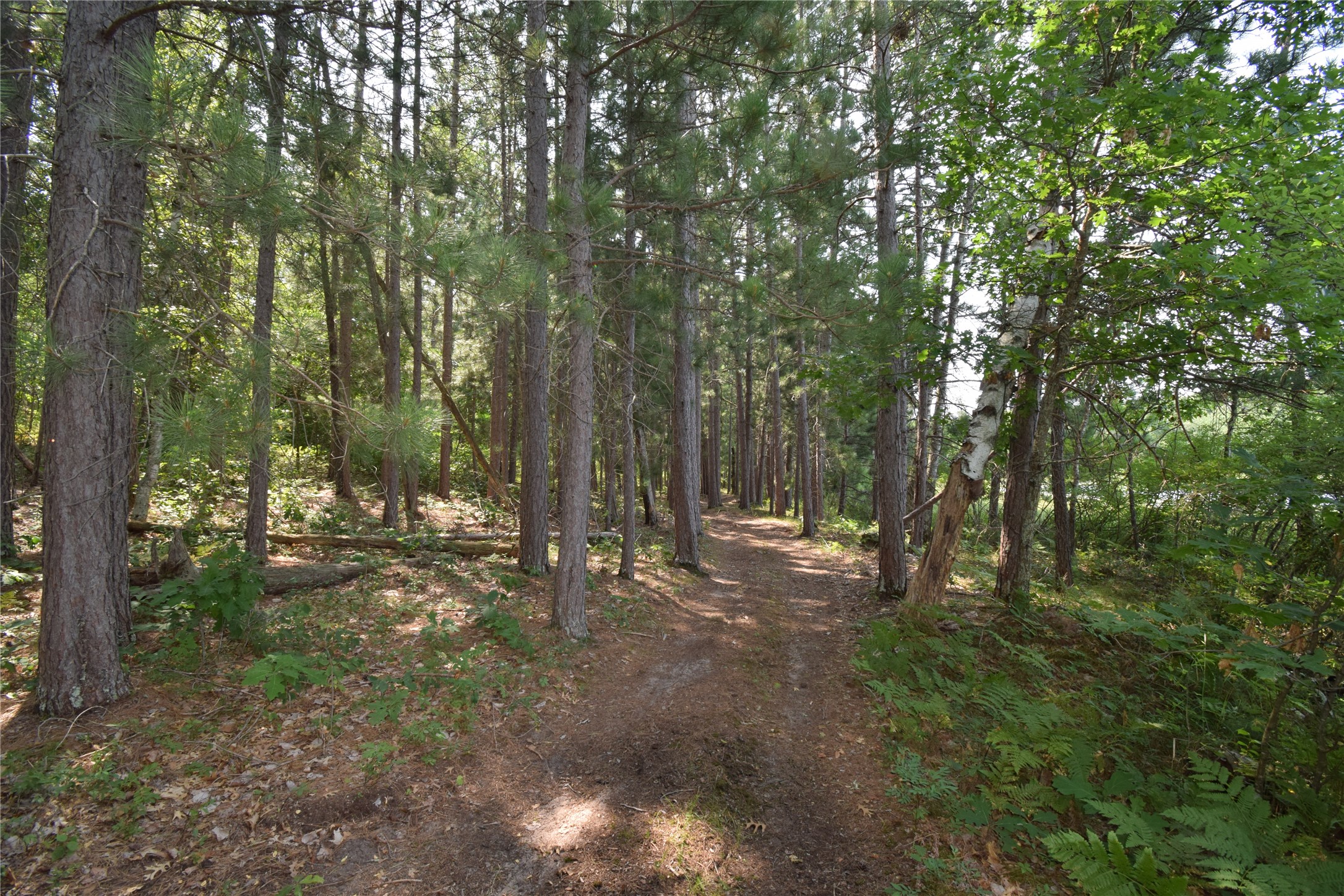 Lot 4 South Point Trail Property Photo 9