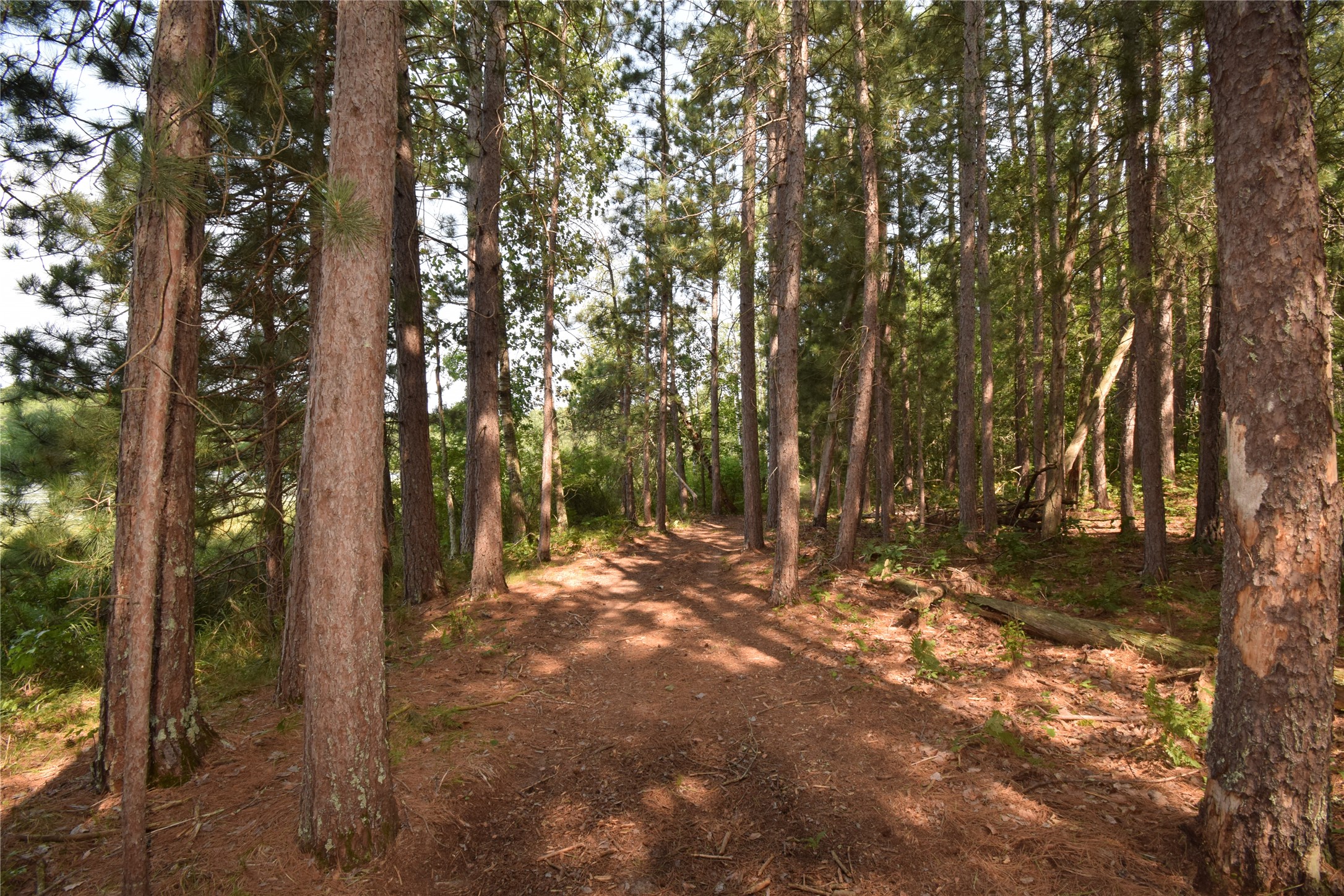 Lot 4 South Point Trail Property Photo 10