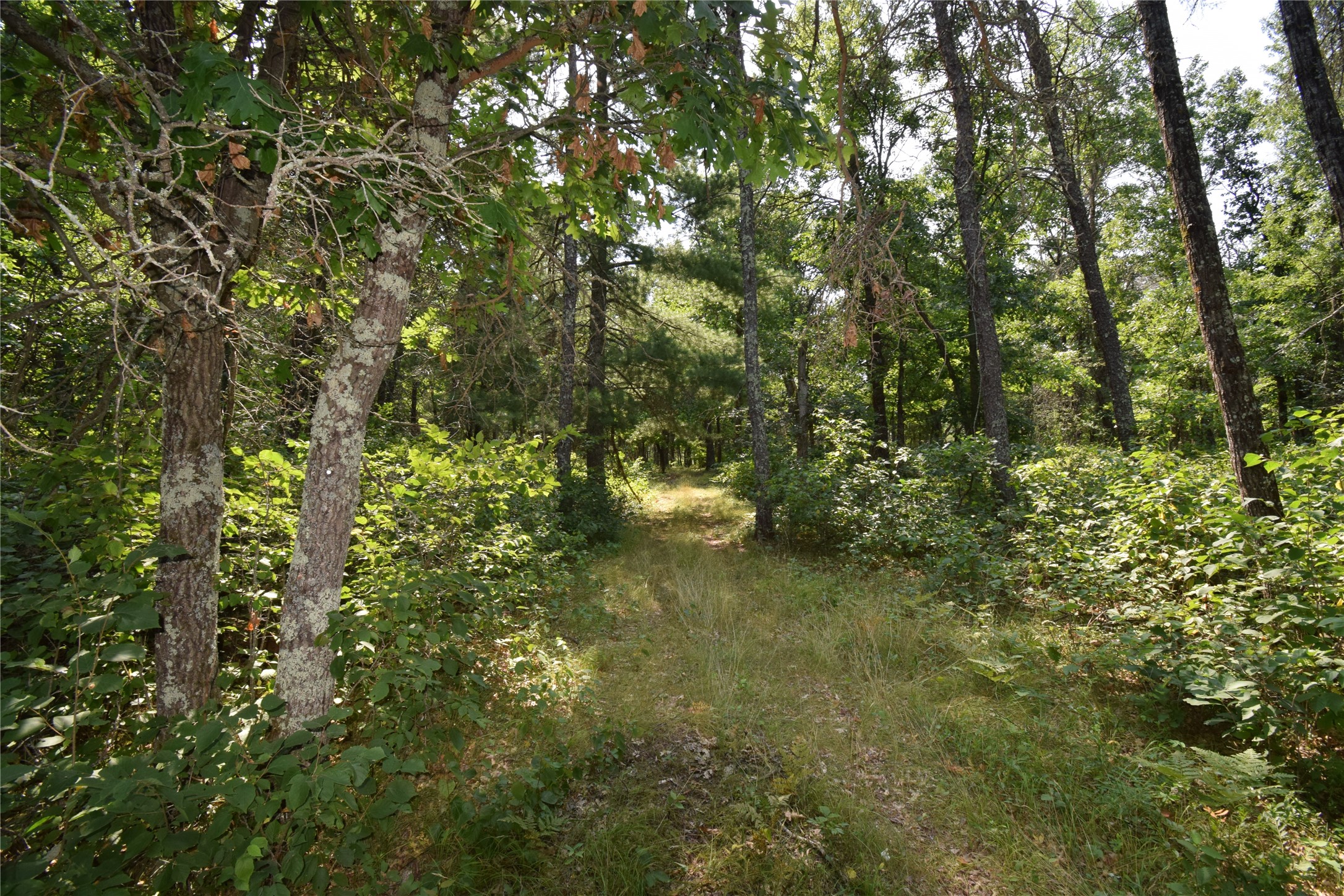 Lot 4 South Point Trail Property Photo 11