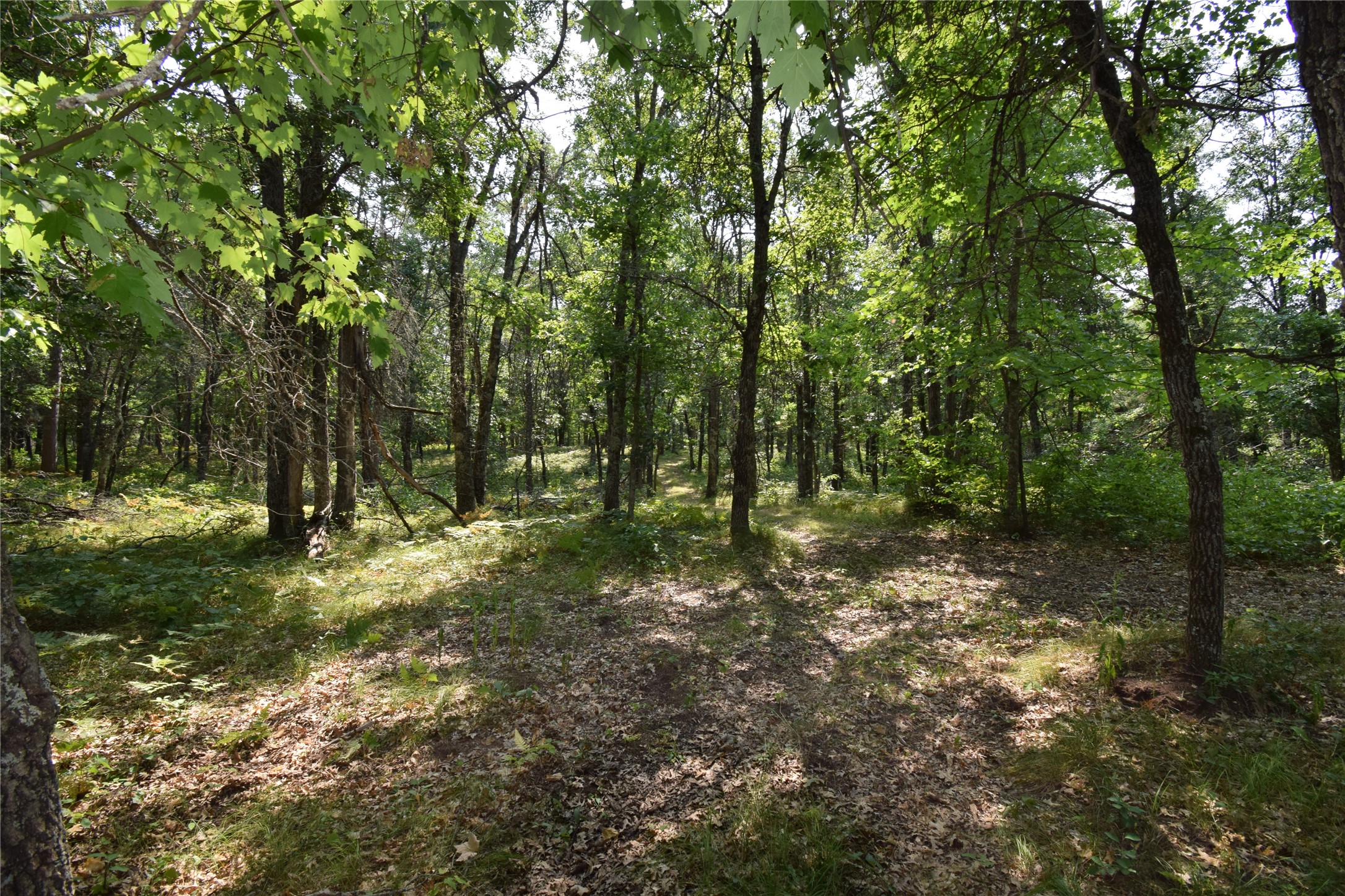 Lot 4 South Point Trail Property Photo 12