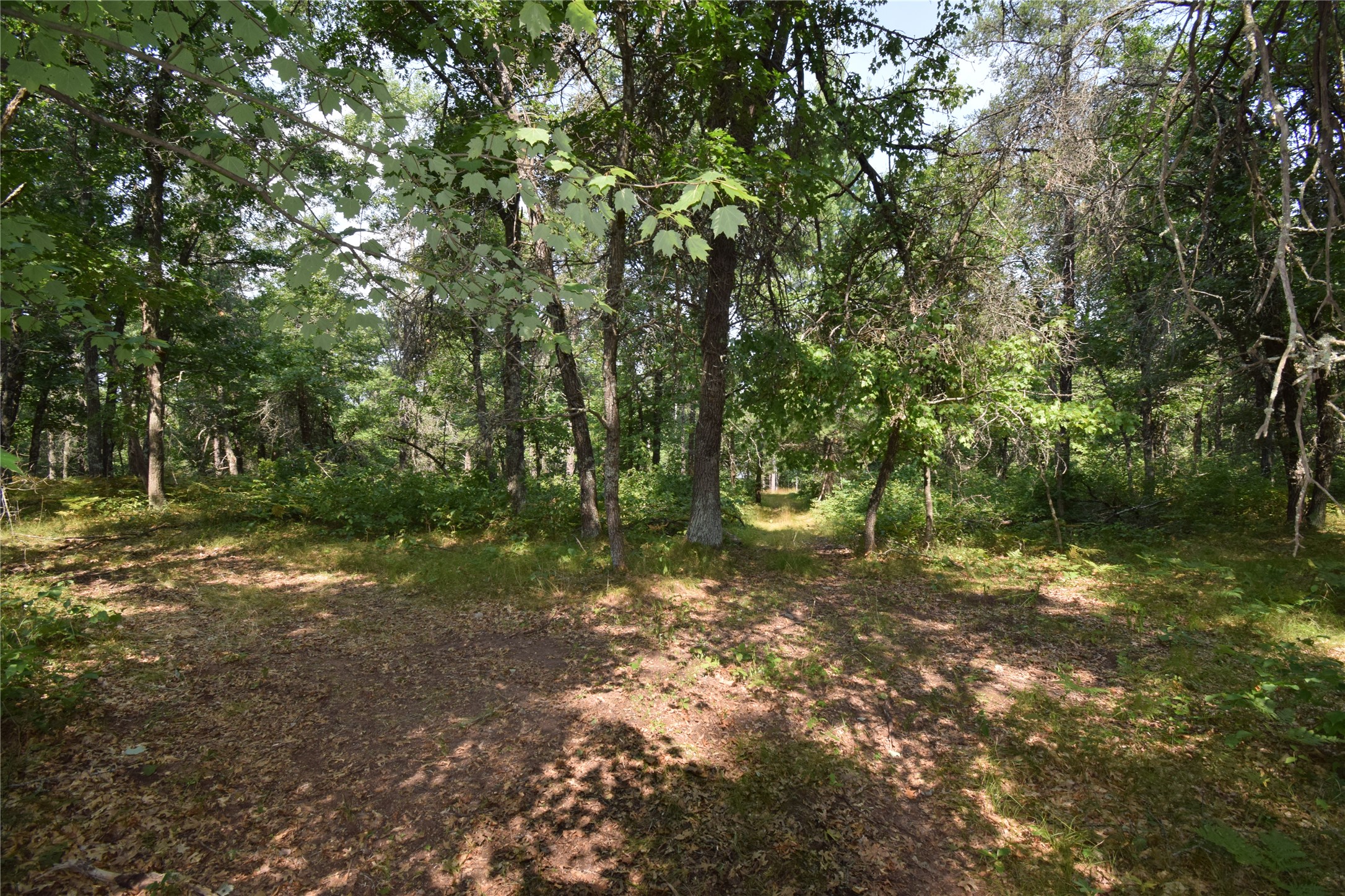 Lot 4 South Point Trail Property Photo 13