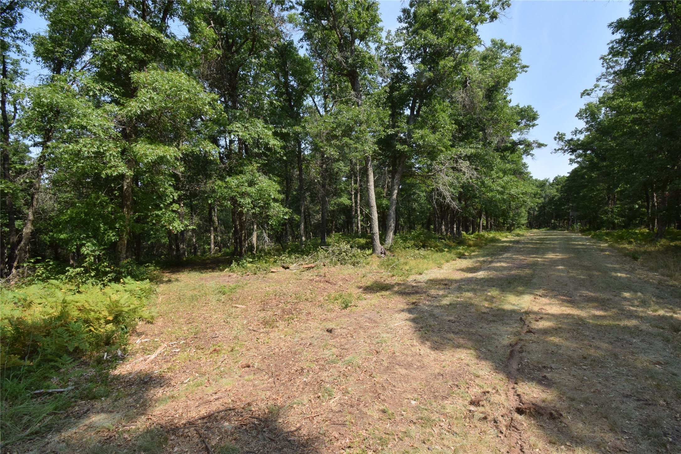 Lot 4 South Point Trail Property Photo 15