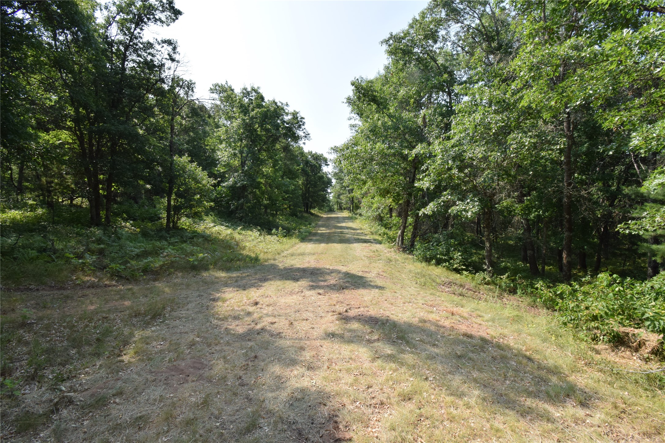 Lot 4 South Point Trail Property Photo 16