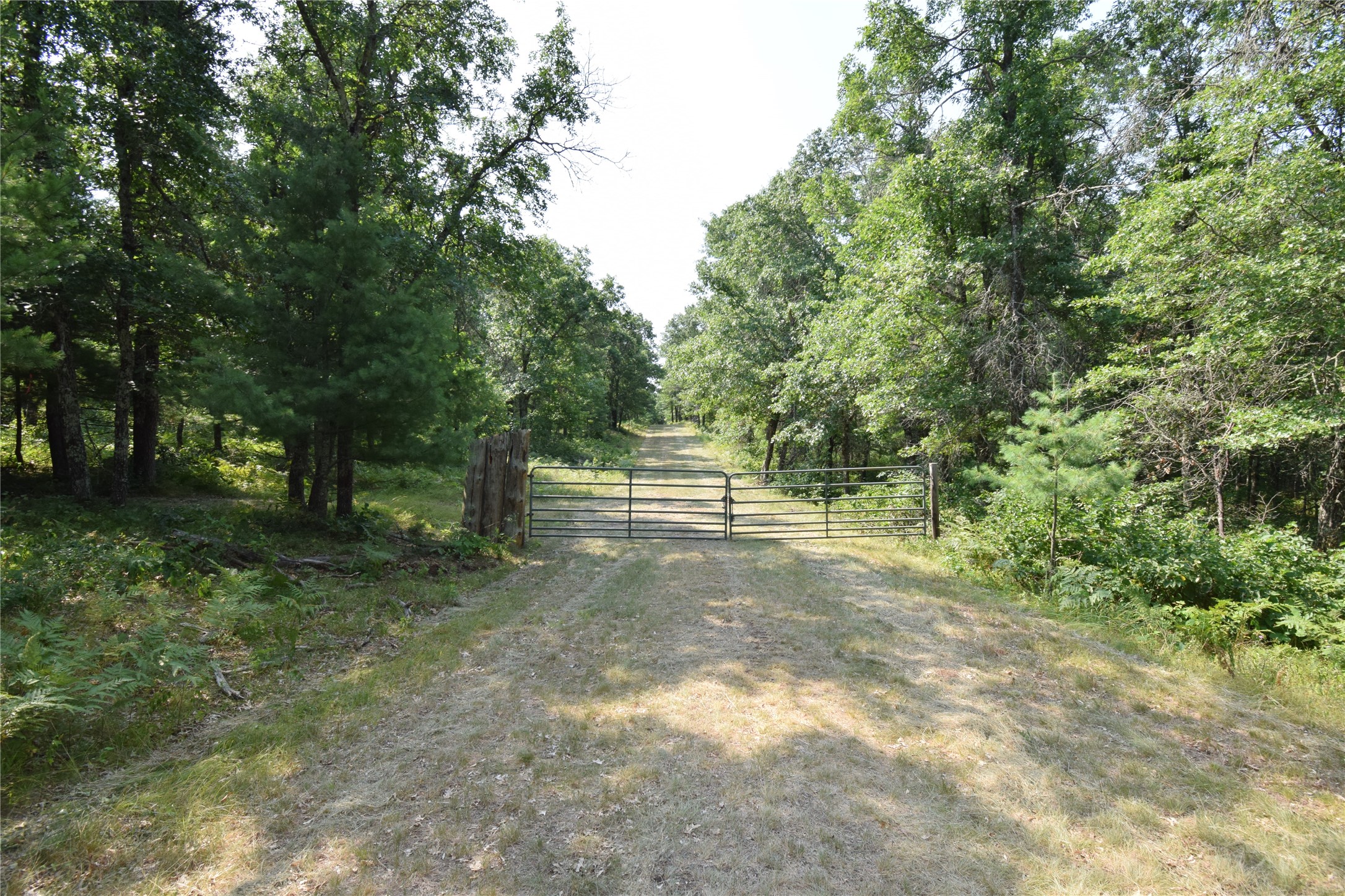 Lot 4 South Point Trail Property Photo 18